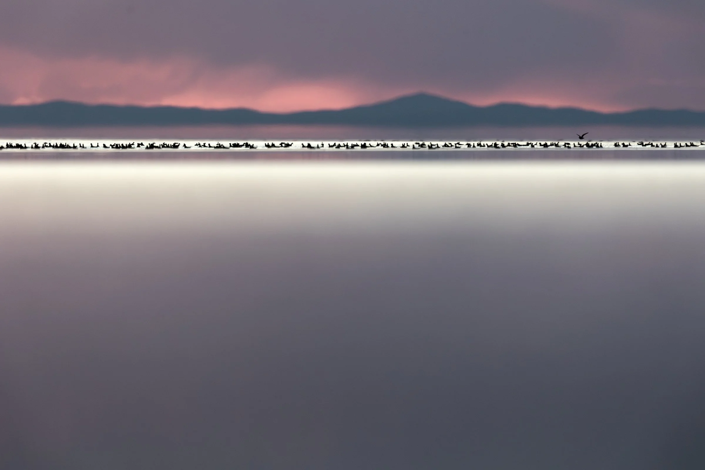 20210513-KarrenMA-R6-7055-Edit.jpg