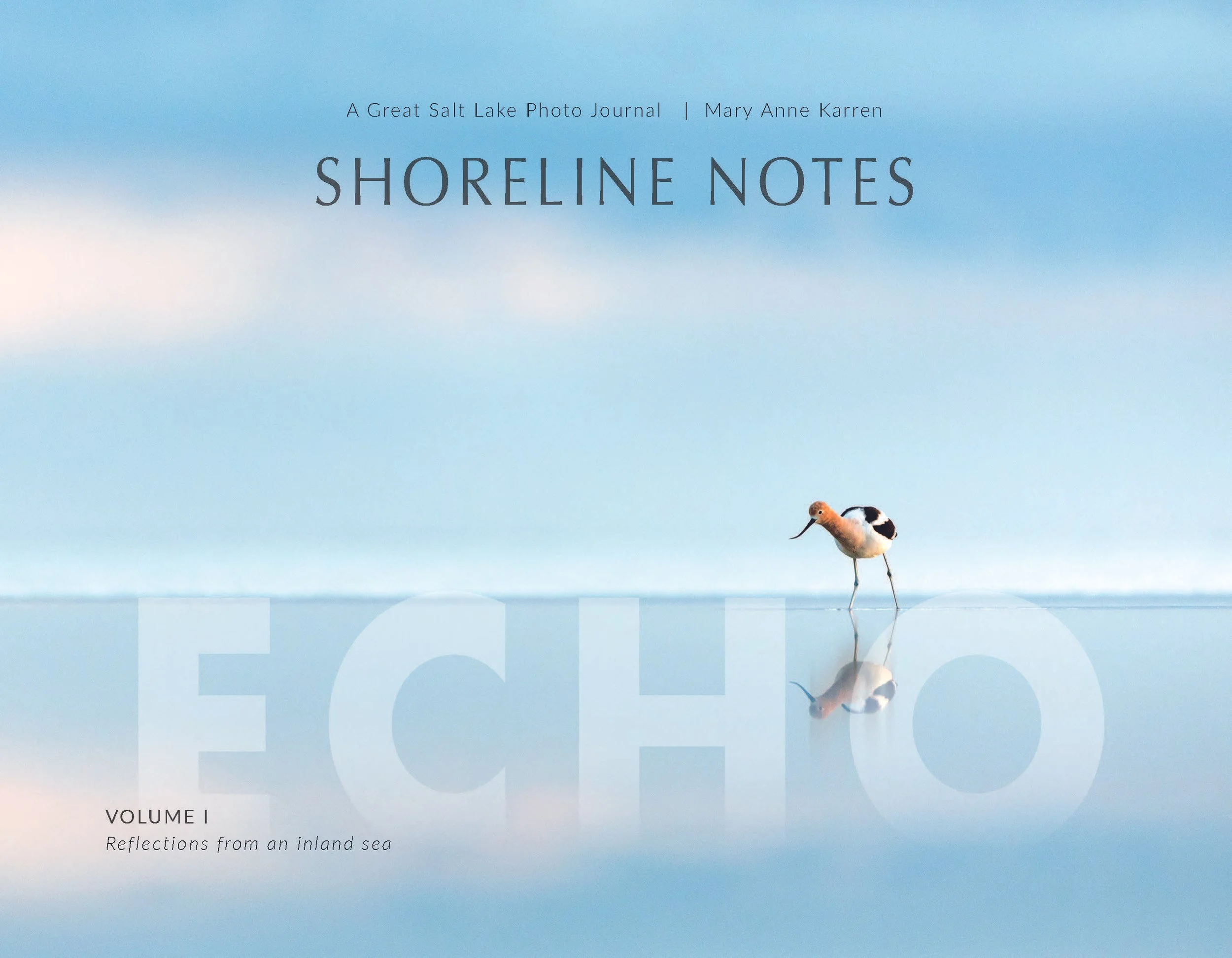 Zine_Shoreline-Notes_ECHO_Front_Cover.jpg