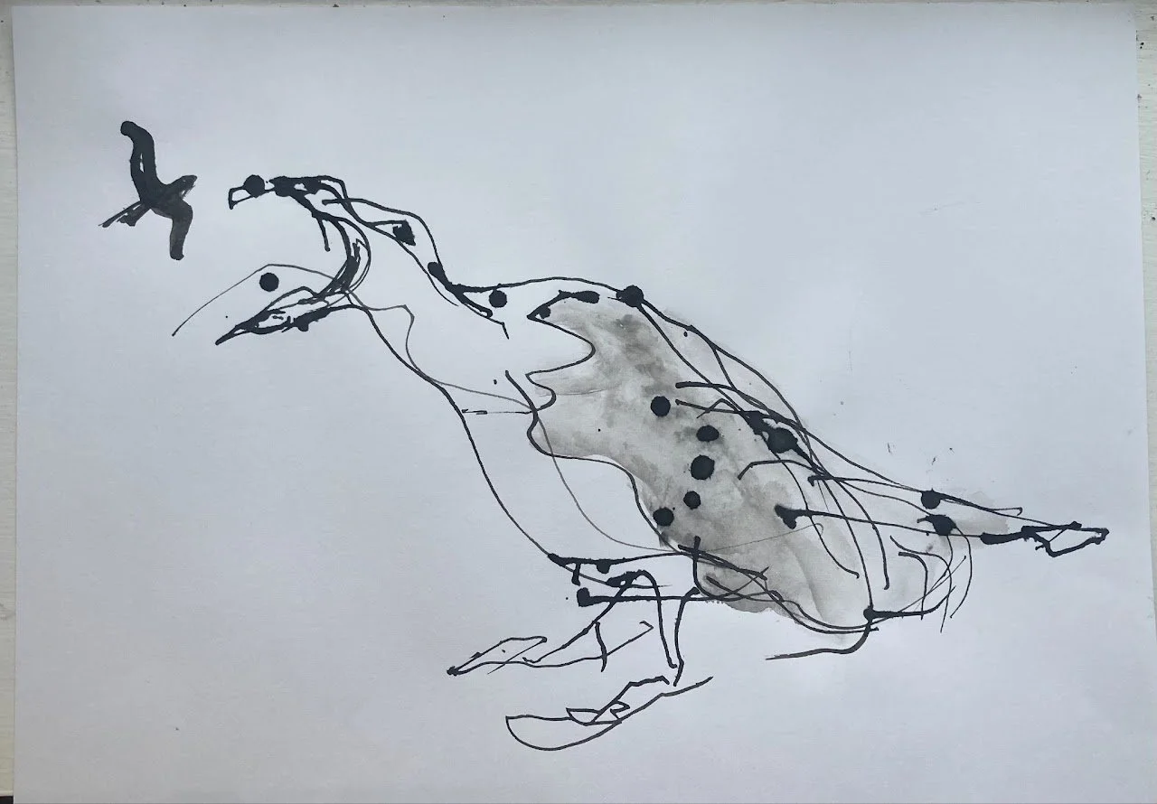 Bear with me...
I felt depressed last week and also I was experimenting with using very long pieces of willow and liquid inks to paint Lesser Black-backed Gulls
Painting with sticks and ink always creates expressive mark-making. Turns out the longer 