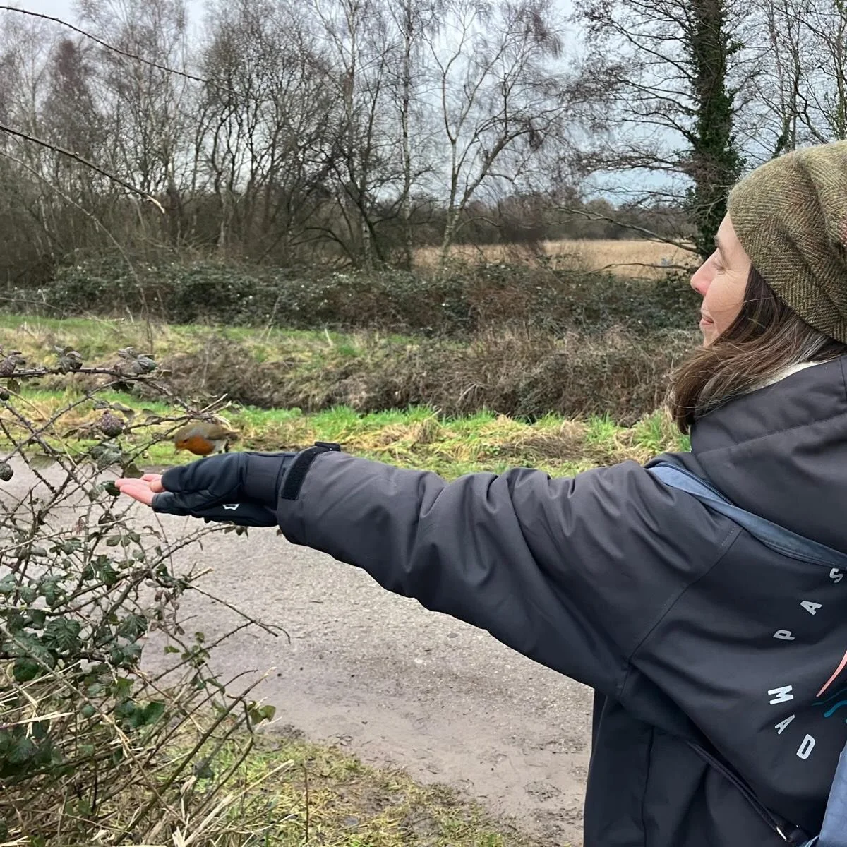 🥰

#robin #hamwall #somersetlevels
