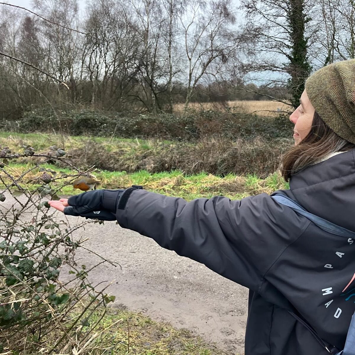 🥰

#robin #hamwall #somersetlevels