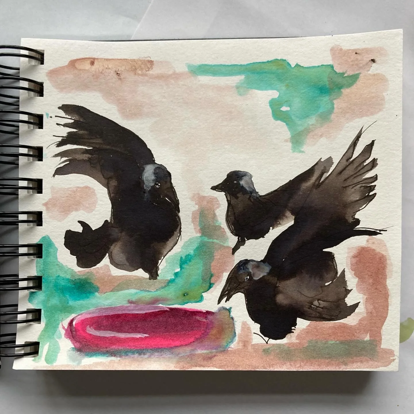 If our ducks don&rsquo;t eat their breakfast, the jackdaws do! 

#jackdaws #breakfast #bruton #inkpainting