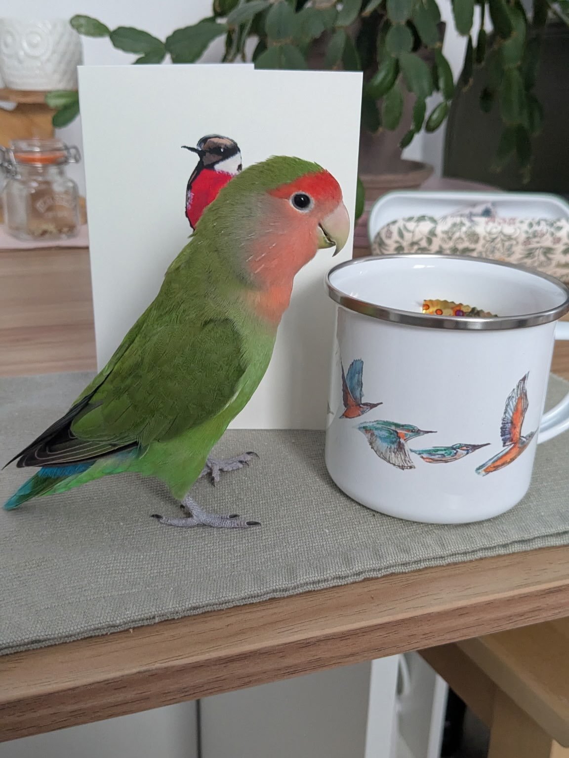 Gifts sent by me to my amazing mentor @shelly_ryder.artist and her cheeky Lovebird @mygreendemon with much gratitude for keeping me company, and on track, during my @mafafabathspa 
I don&rsquo;t think I could I made it without such kind and knowledga