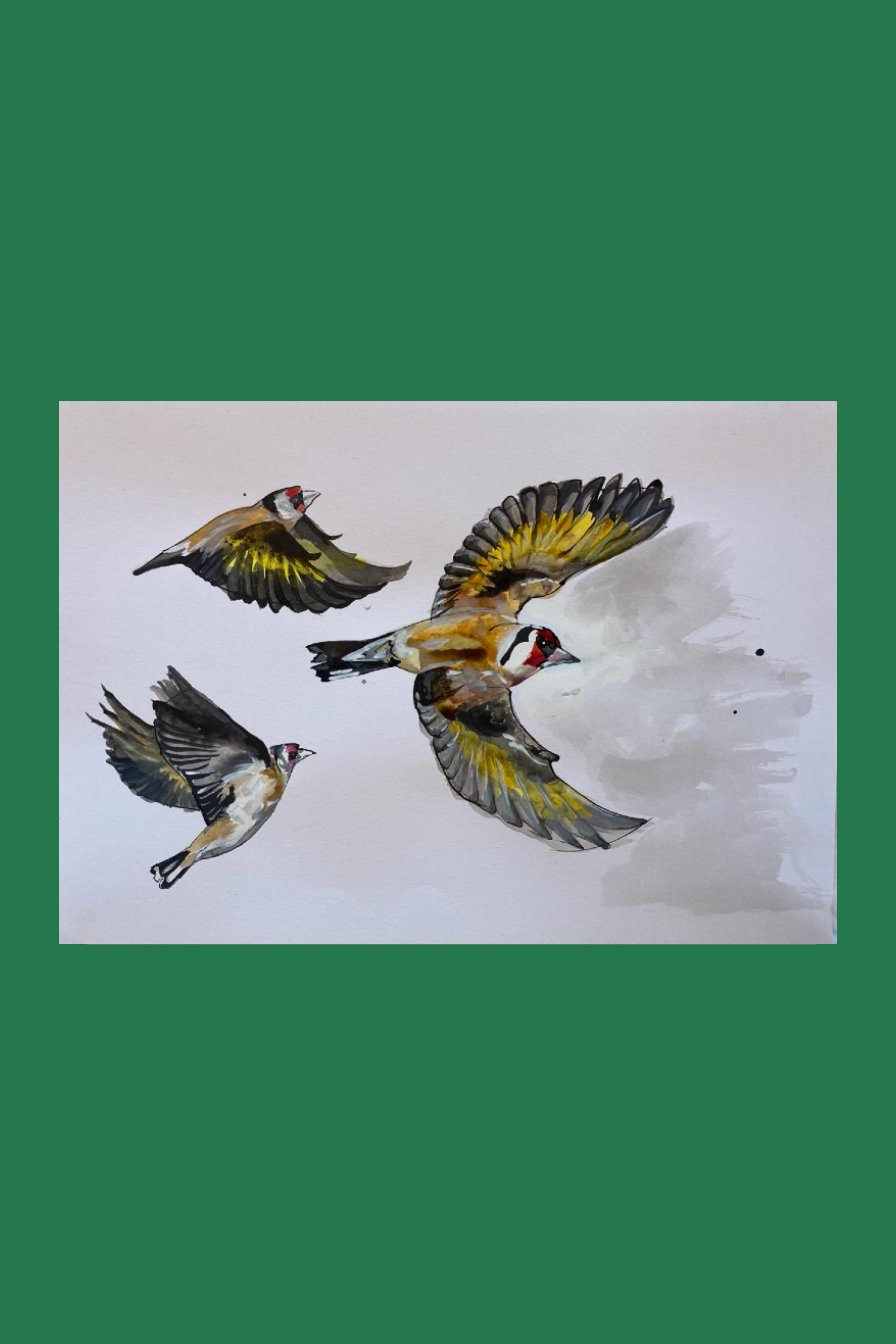 3 goldfinches.jpg