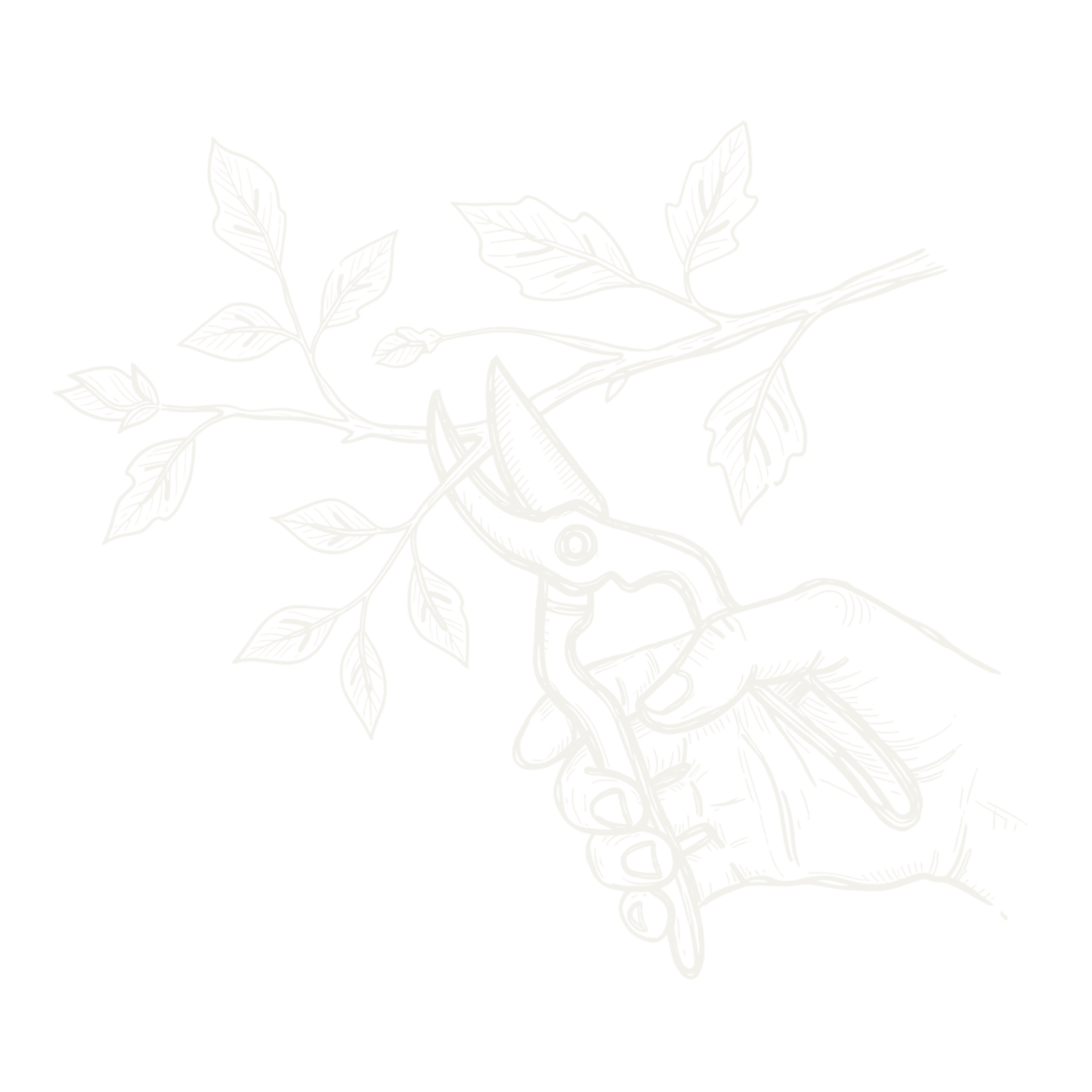 Outline drawing of a bird perched on a branch with leaves.