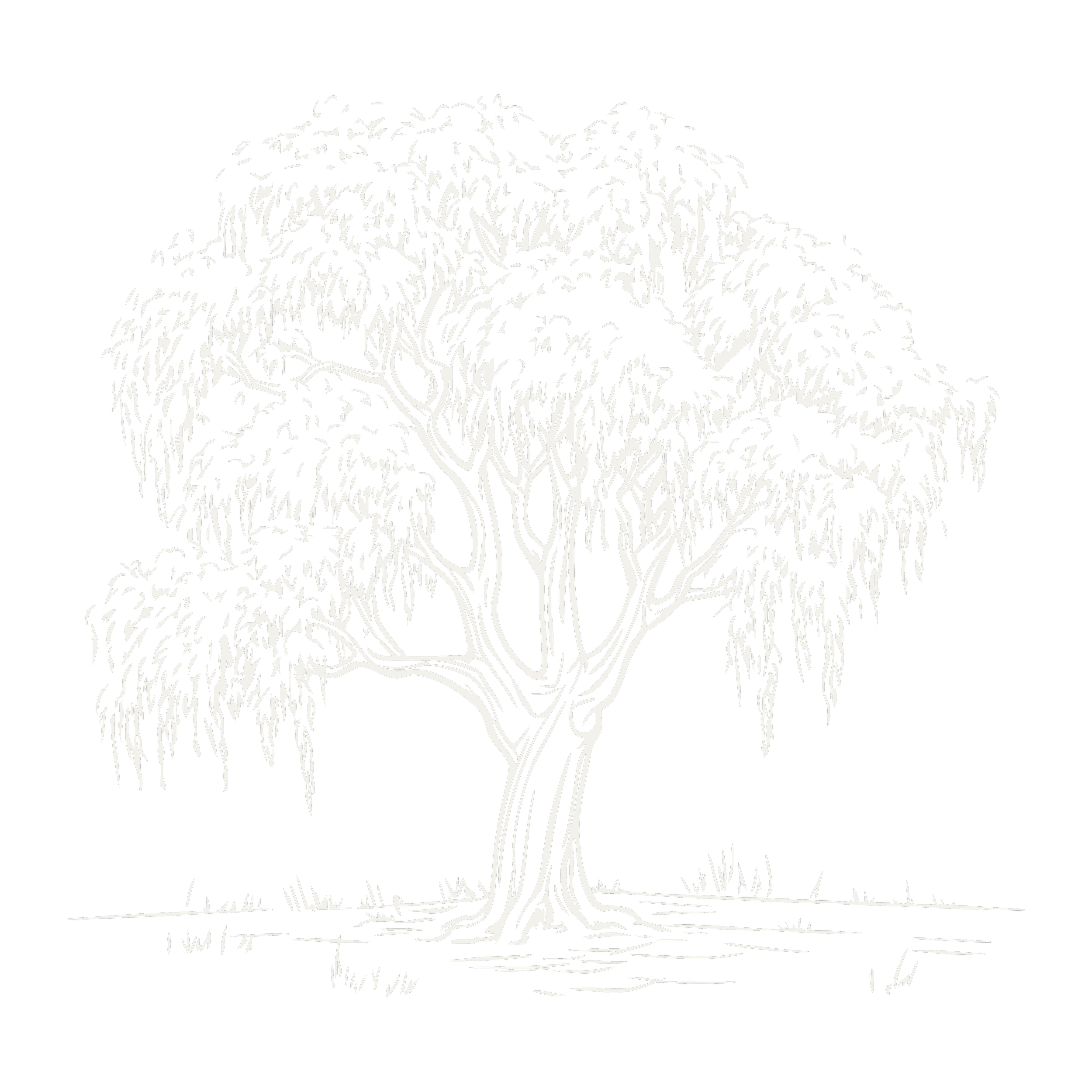 Black and white illustration of a large, leafy tree in a minimalist style.