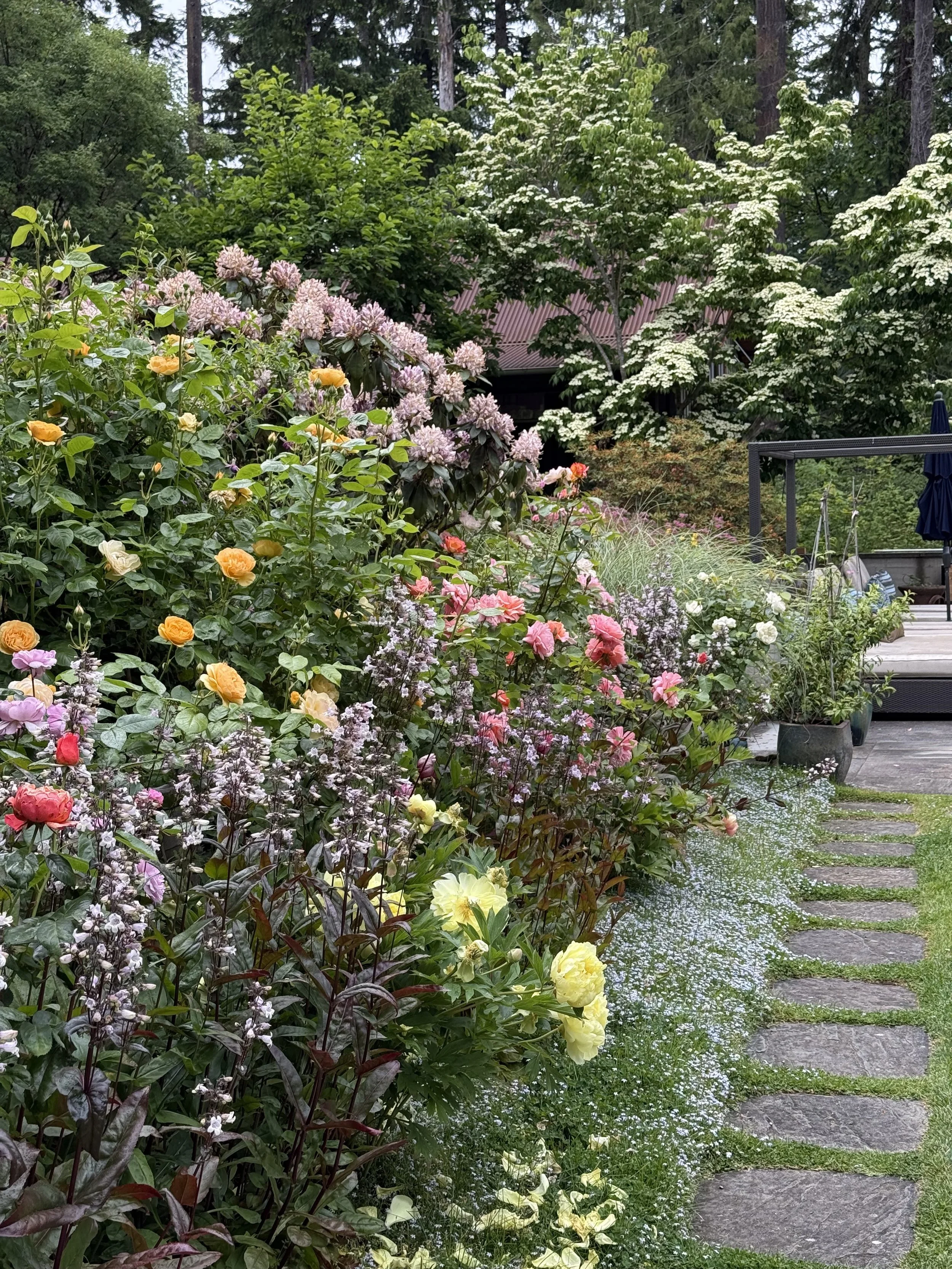 A lush garden path with stone stepping stones surrounded by various blooming flowers, bushes, and trees.
