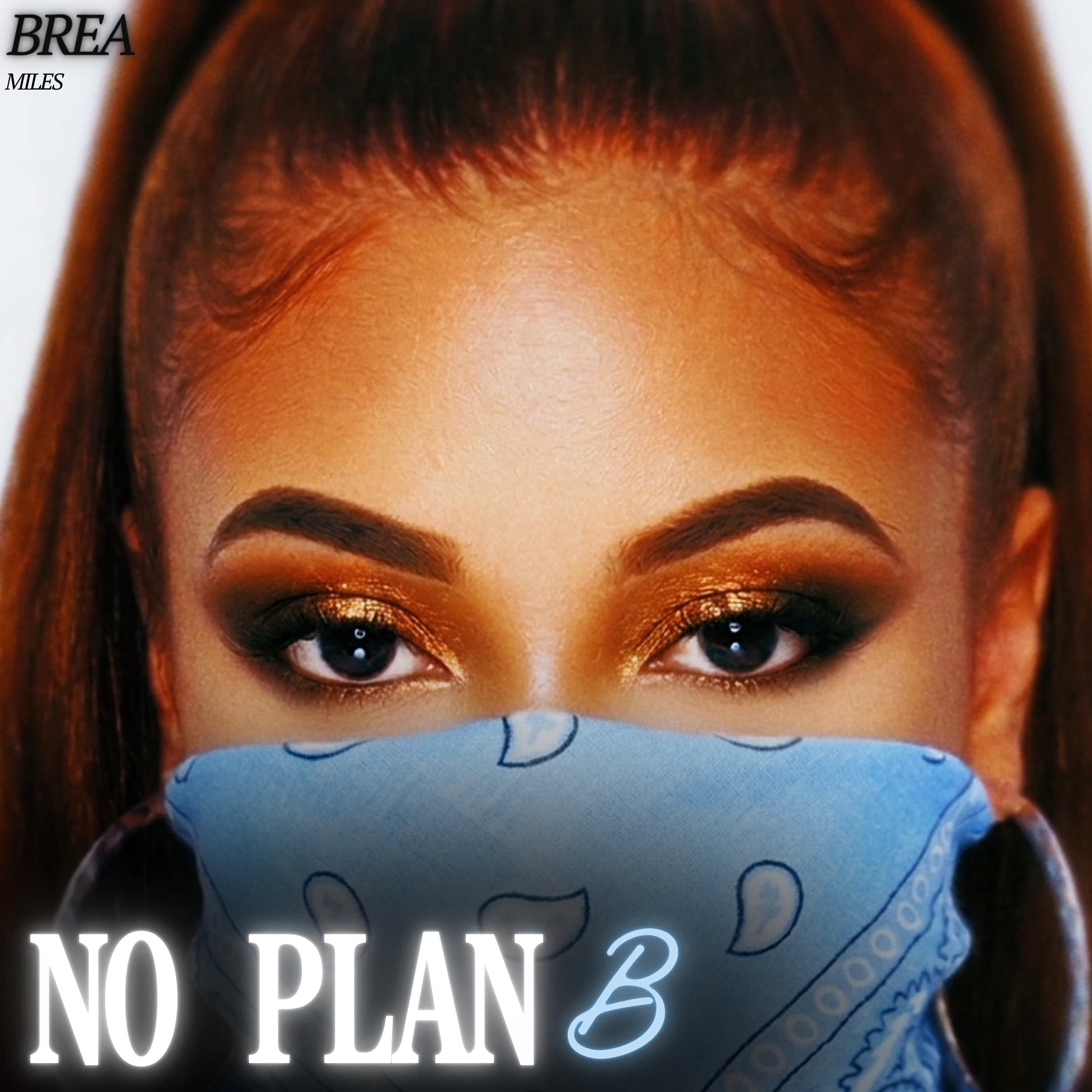 no plan b.png