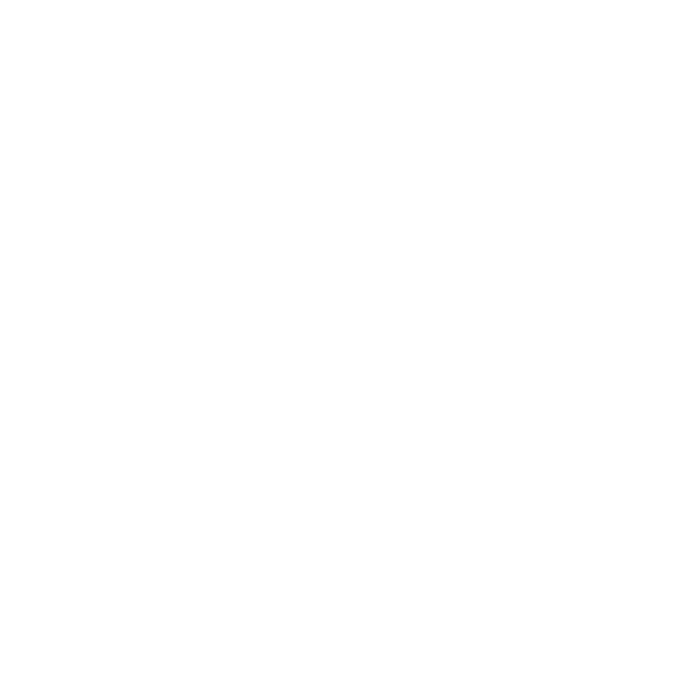 icon-fly fishing.png