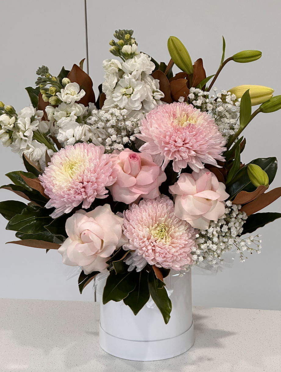 Screen Shot 2024-02-29 at 6.40.18 pm.png