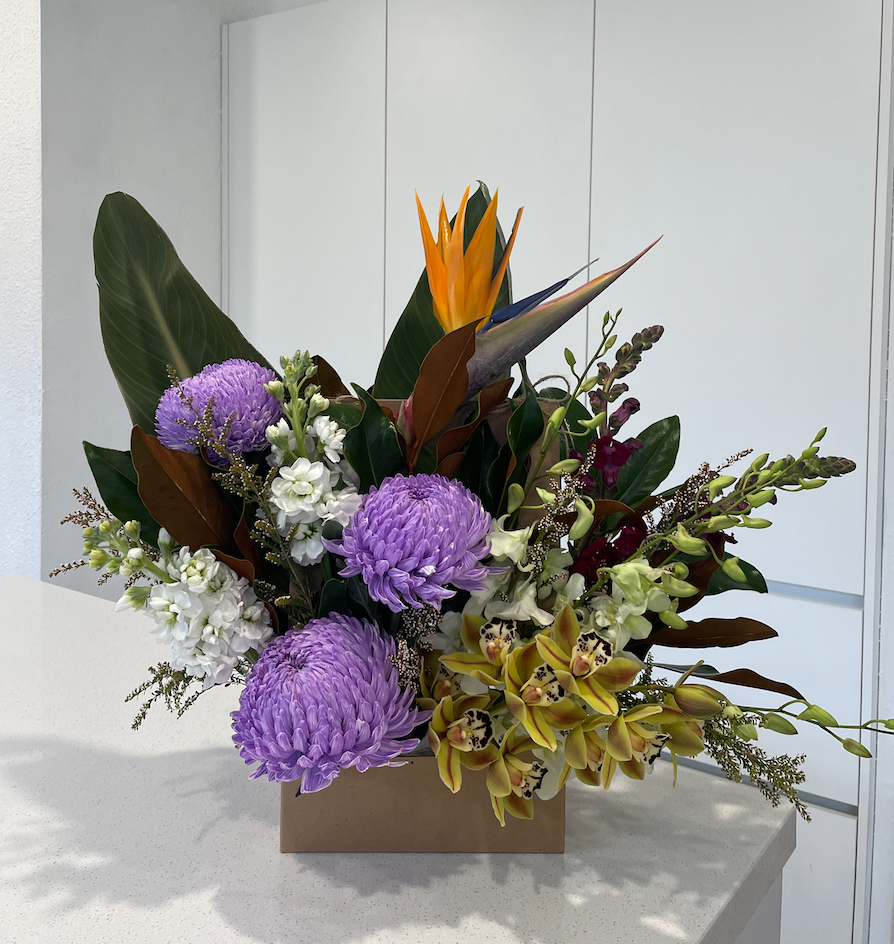 Screen Shot 2024-03-01 at 10.15.57 am.png