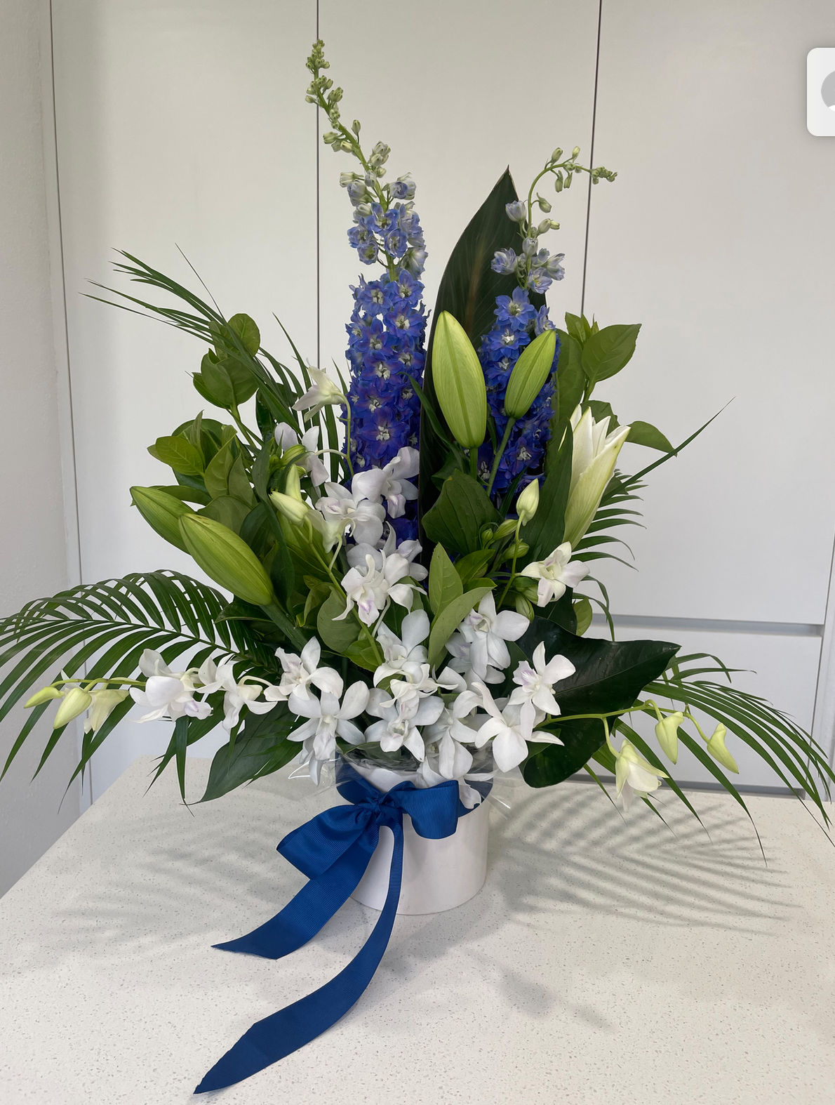 Screen Shot 2024-02-29 at 6.46.07 pm.png