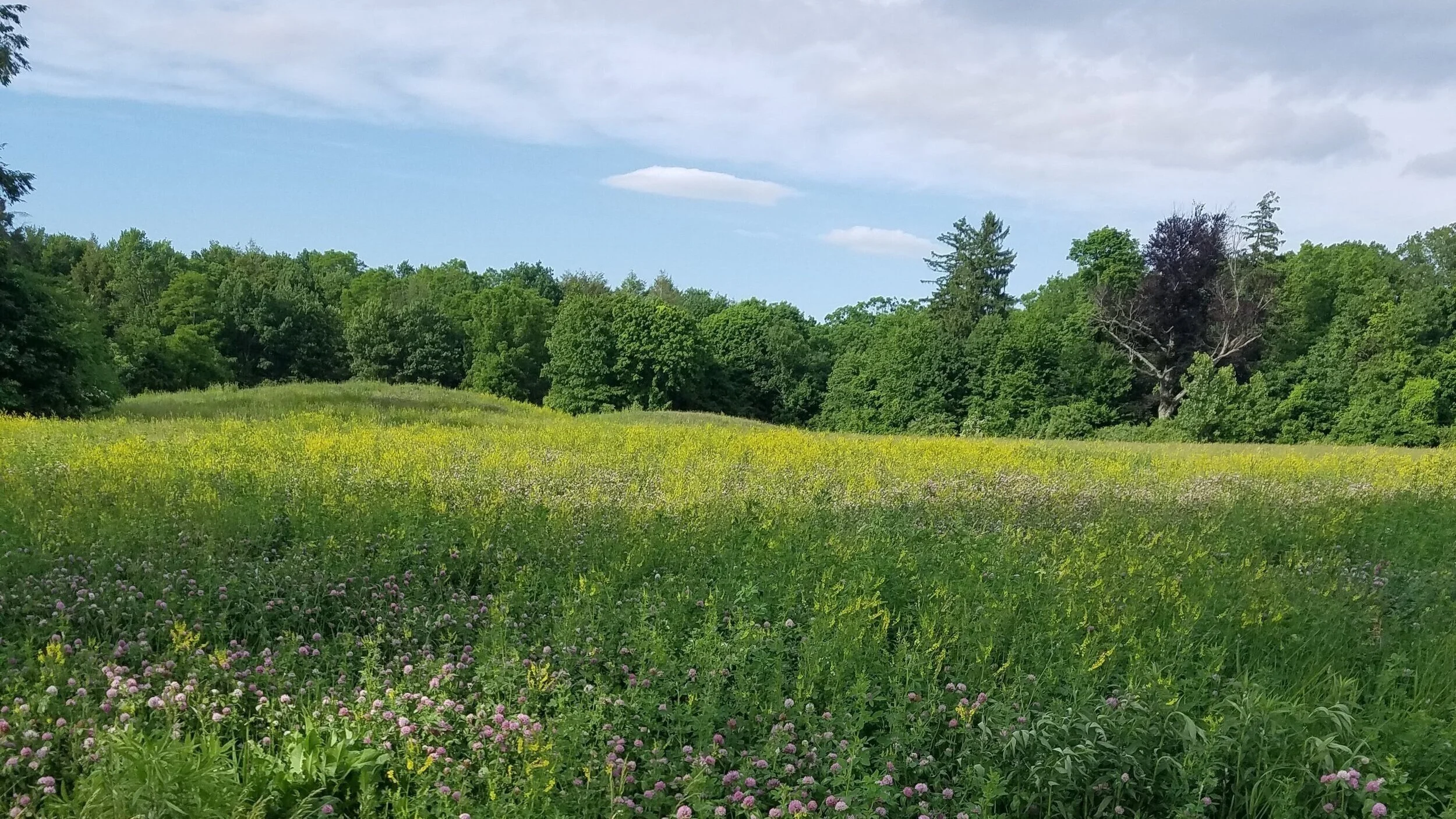 20180602_170556.jpg
