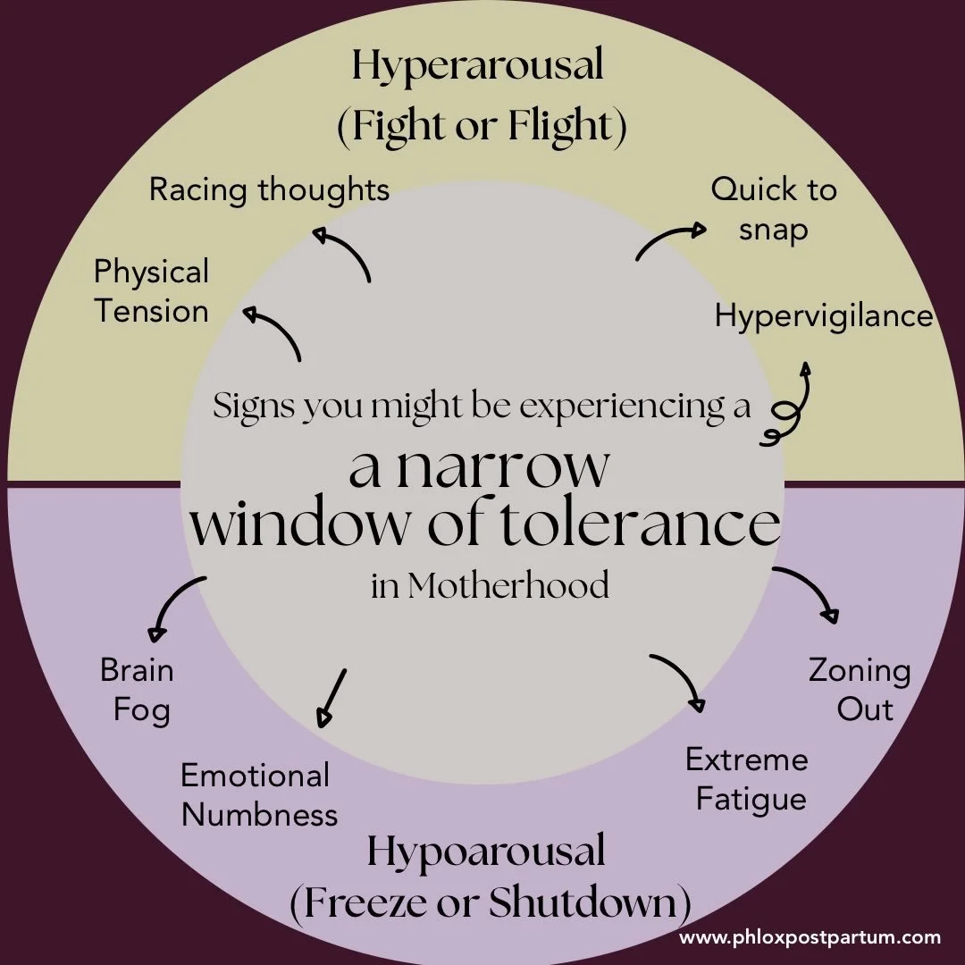 In motherhood, a narrow window of tolerance means your nervous system has a reduced capacity for daily stress. 

When pushed outside of this optimal zone, you can quickly tip into hyperarousal (fight-or-flight) or hypoarousal (freeze-or-shutdown), ma