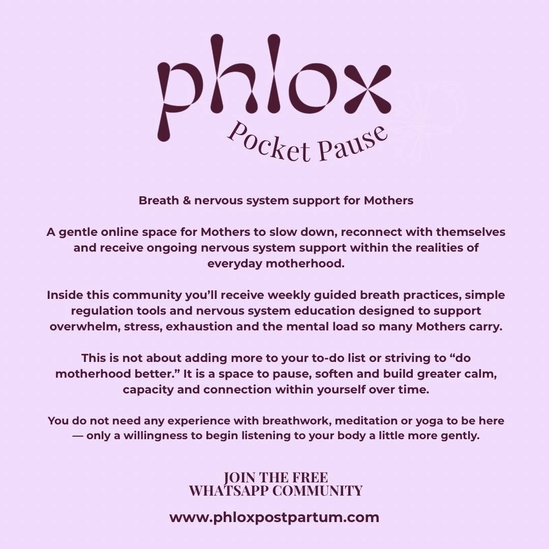 Phlox Pocket Pause - a nervous system regulation space for you. A space for simple breathwork practices. A space for cultivating mind-body connection. I&rsquo;d love to support you in this free online portal. Link to join, in my bio 🩷