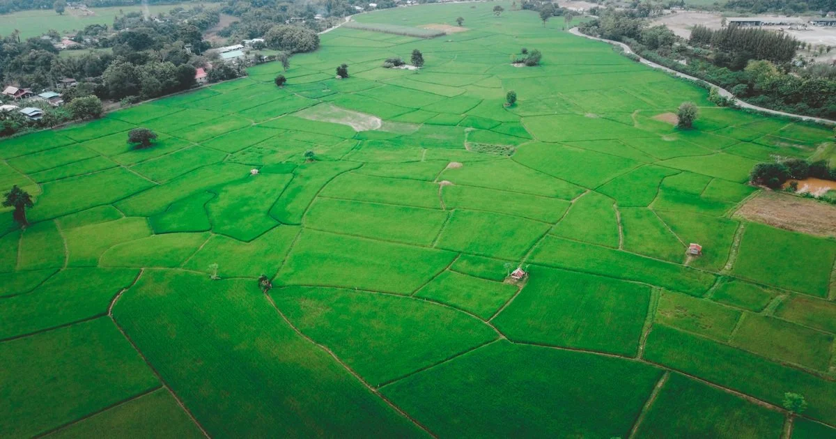 land-acquisition-and-feasibility-studies
