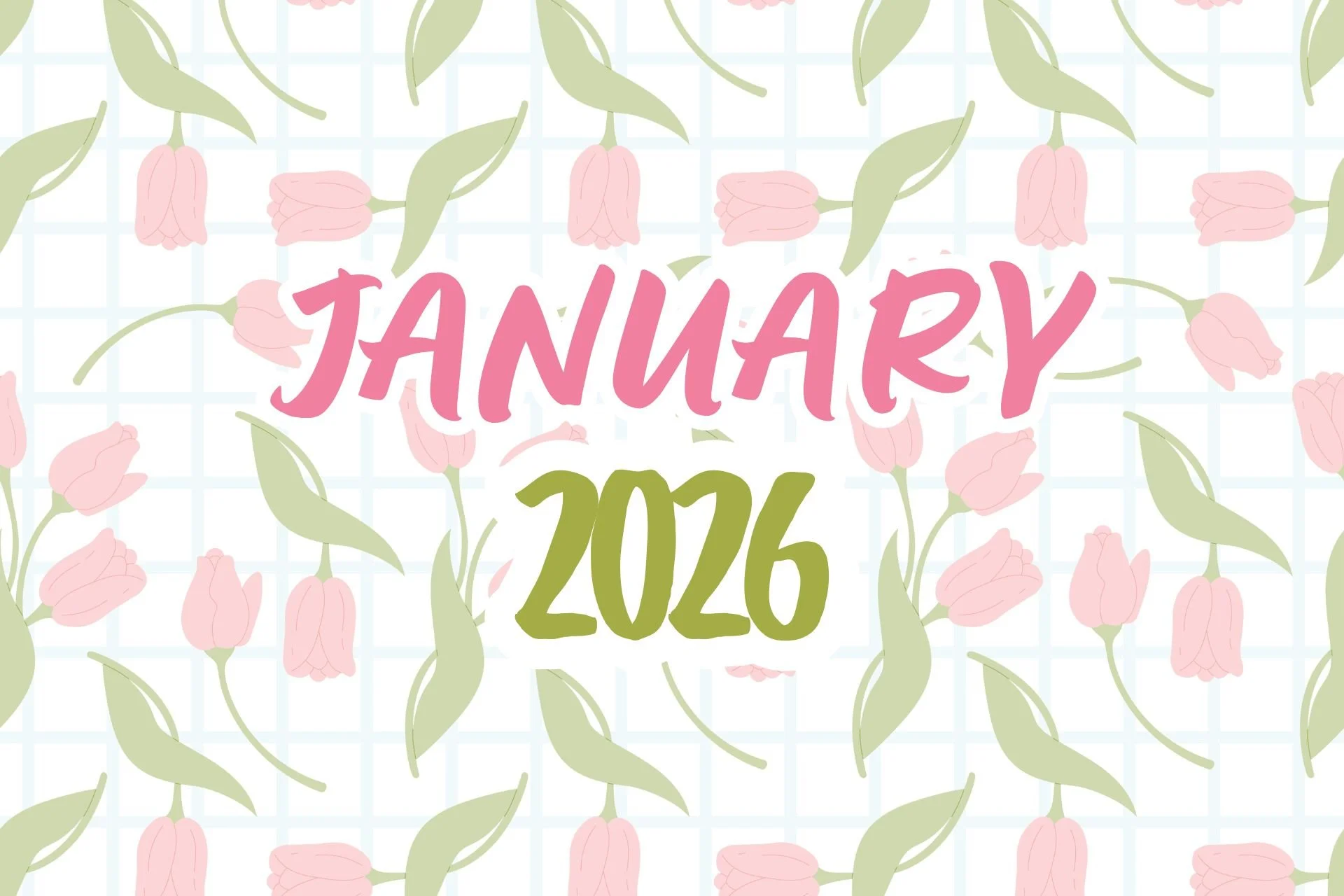 NEWSLETTER - JANUARY 2026