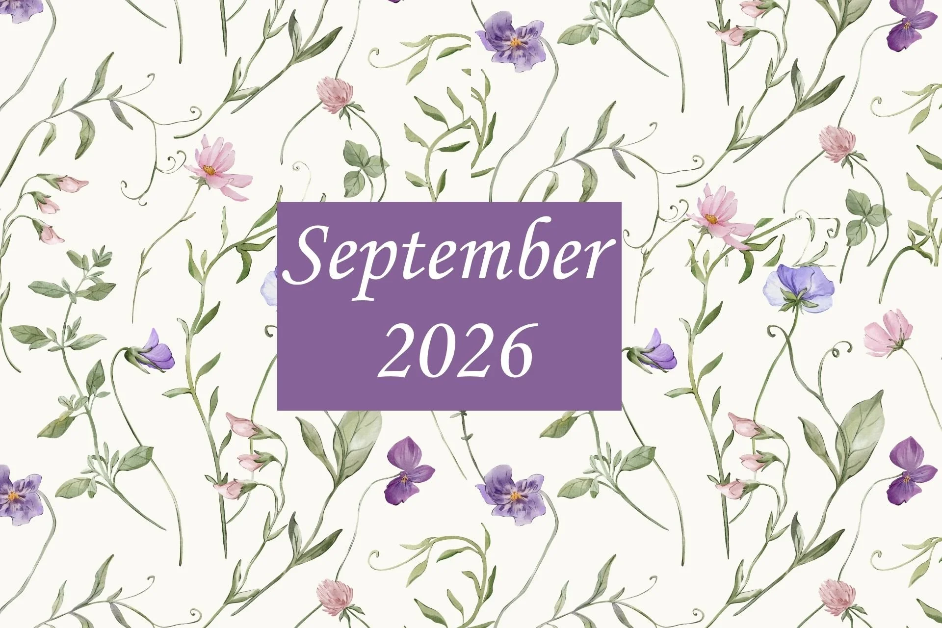 NEWSLETTER - SEPTEMBER 2026