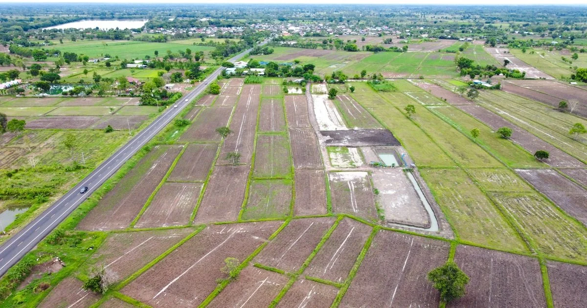 aerial-view-of-green-fields-for-land-acquisition-and-feasibility-studies
