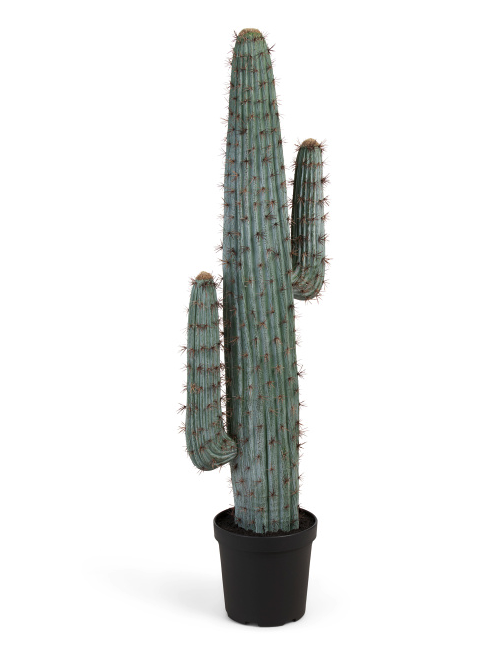 Faux Cactus.png