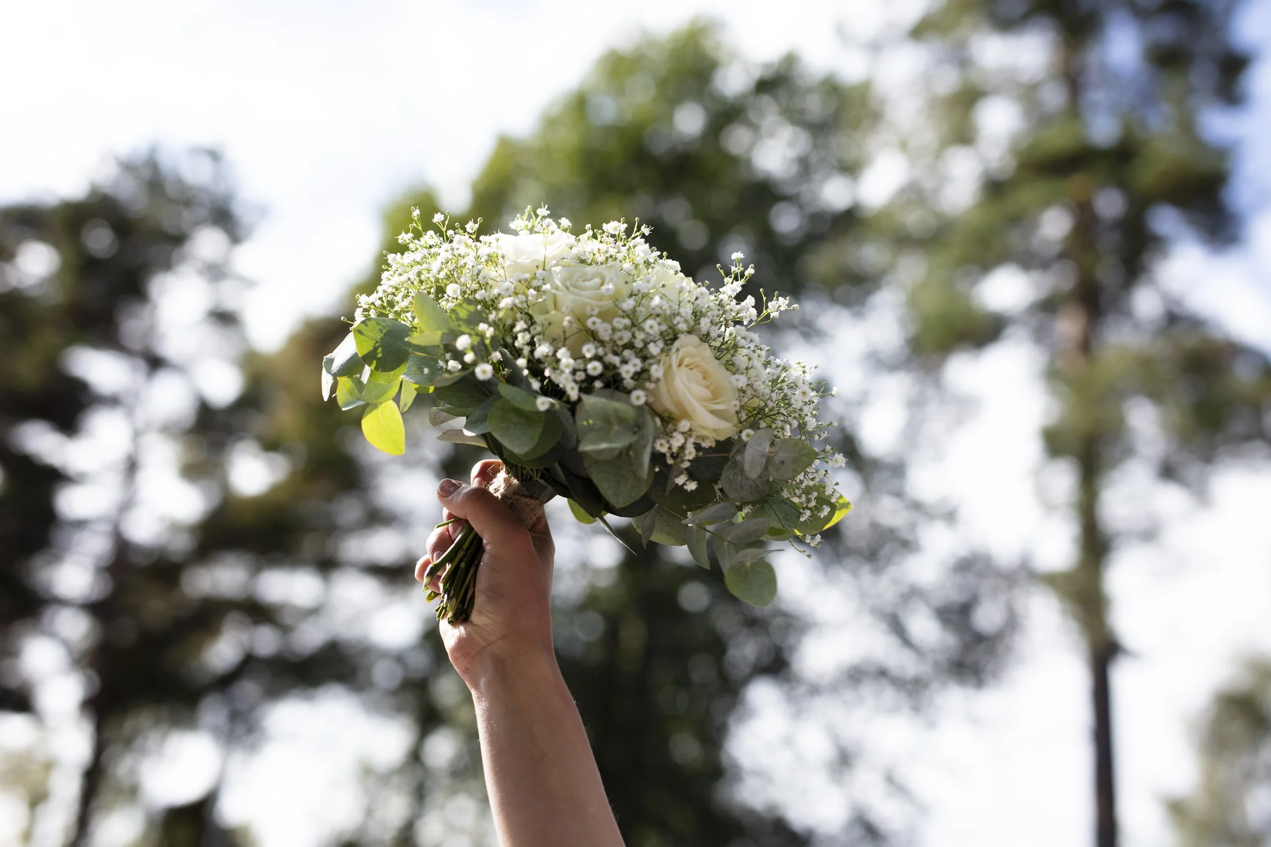 Canon EOS 5DS 8688x5792_000560.jpg