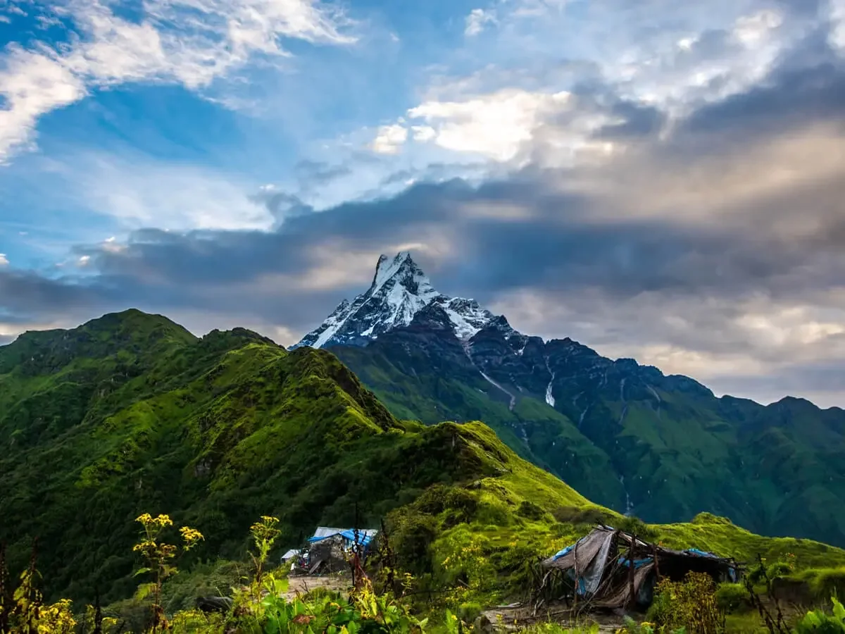 mardi-himal-trek-summer.webp
