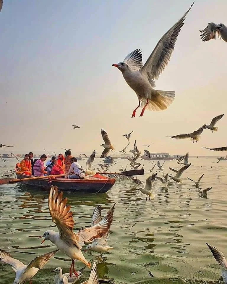 Spiritual Journey Through Nothern India