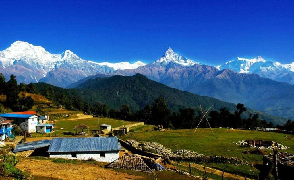 australian-base-camp-hike-from-pokhara.webp