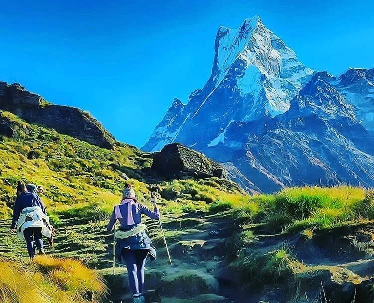 mardi-himal-trek.jpg
