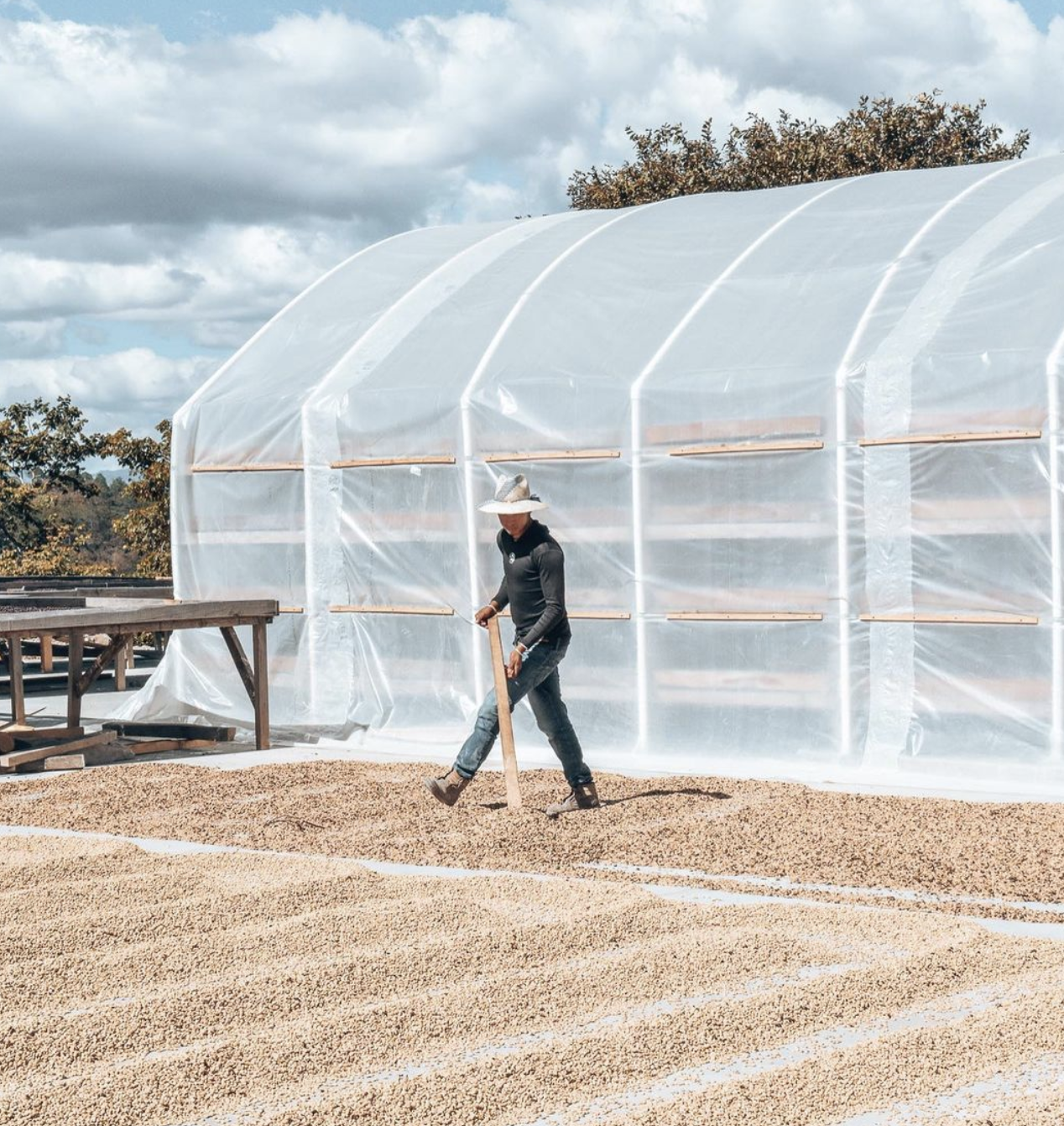 Screenshot 2023-06-09 at 10.21.58 AM.png