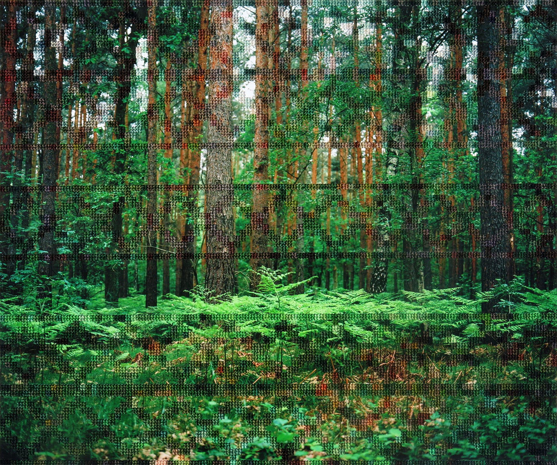 Forest, Hohen Neuendorf