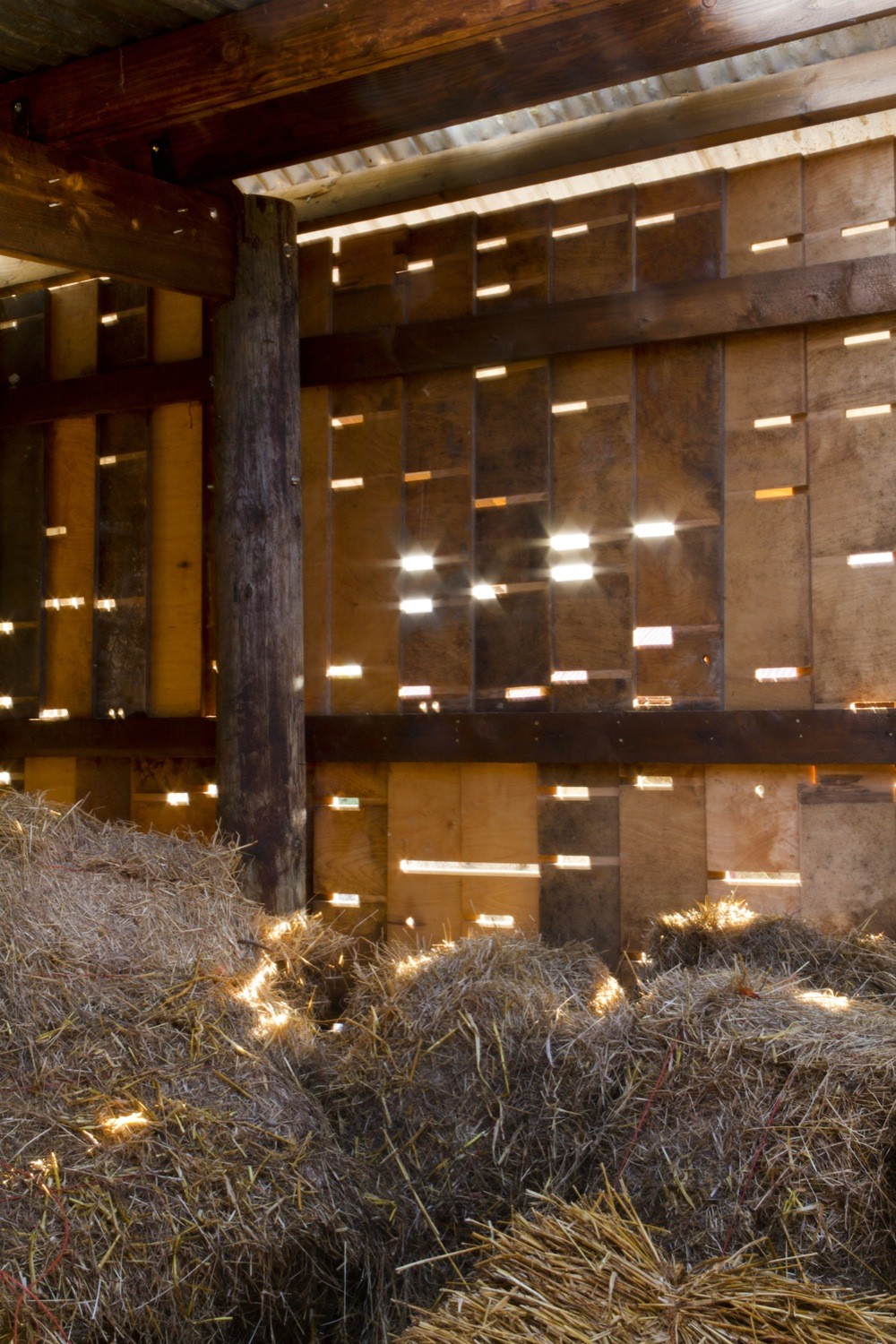 Cowshed__design_and_build_workshops_led_by_Cowshed_Collective._Image_by_Ste_Murray_(5).jpg