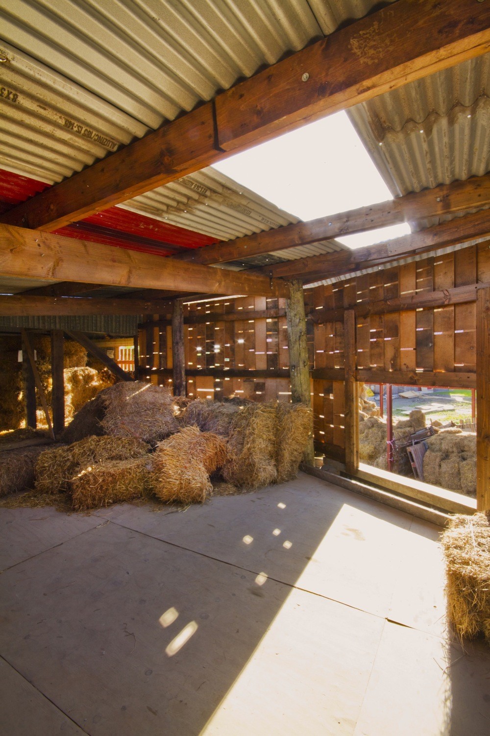 Cowshed__design_and_build_workshops_led_by_Cowshed_Collective._Image_by_Ste_Murray_(3).jpg