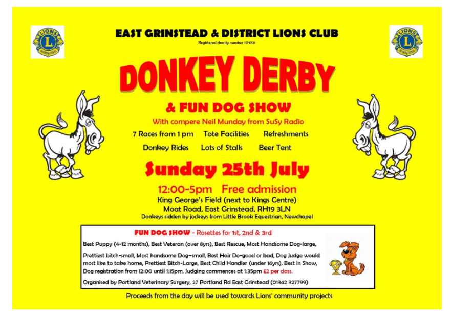 donkey derby.PNG