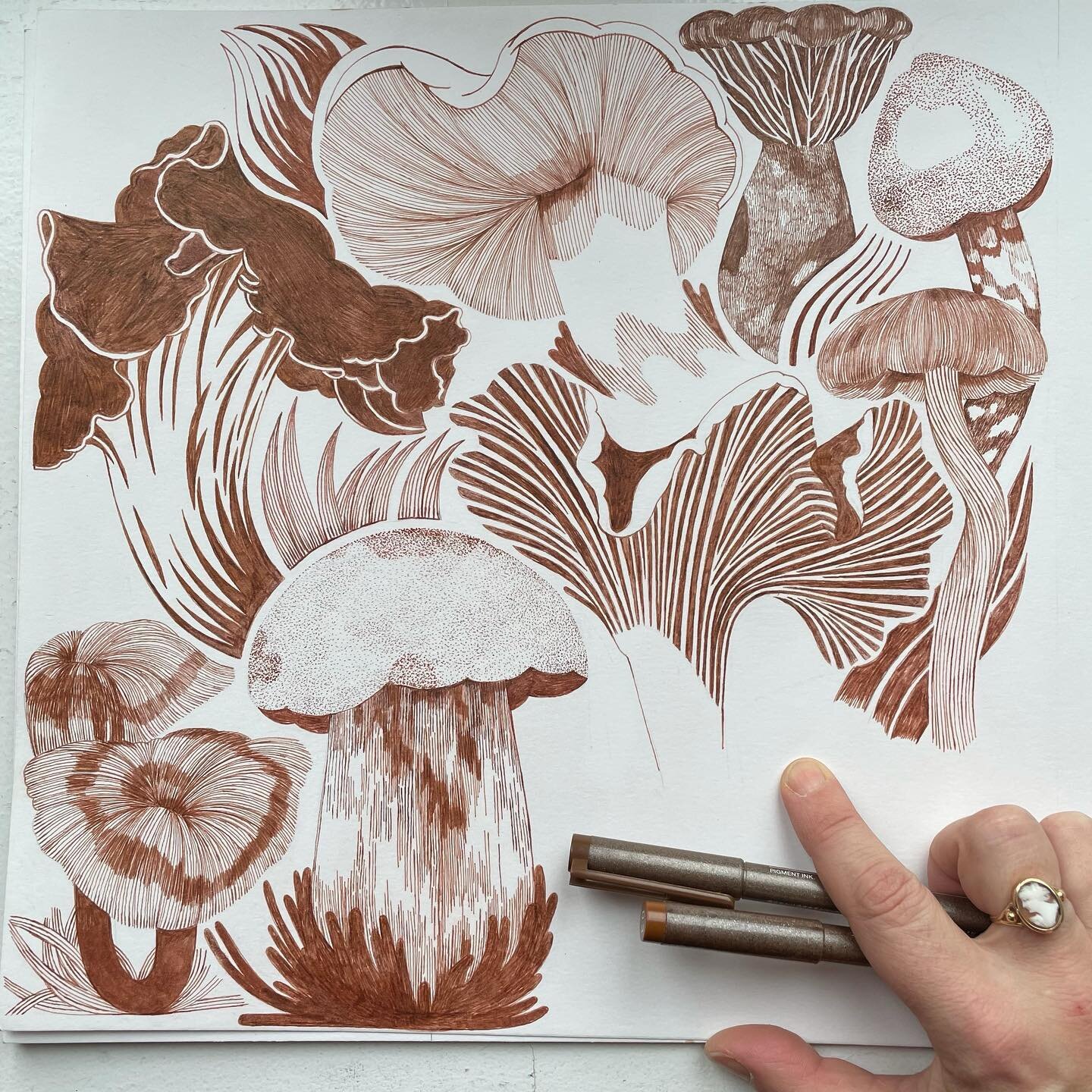 Autumn is todays prompt (day 15-16) 
#patternprintober2021 #patternprintober #mushrooms #autumn #brown #sepia #copics #drawing #monochrome #forest #pickingmushrooms