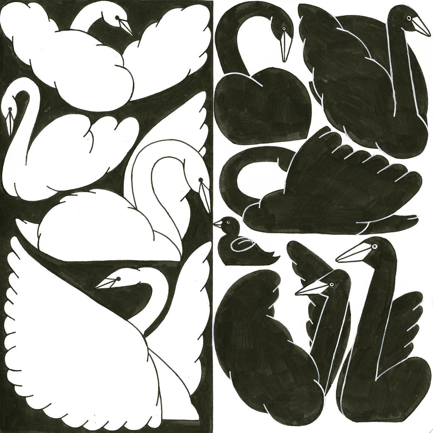 Day 19-20 and the prompt is #fairytale 
can you guess what fairytale this is? 
Inspiration came from #hilmaafklint and her lovley Swan painting (swipe to see)

#patternprintober2021 #patternprintober #swan #fairytale #saga #blackswan #whiteswan #draw
