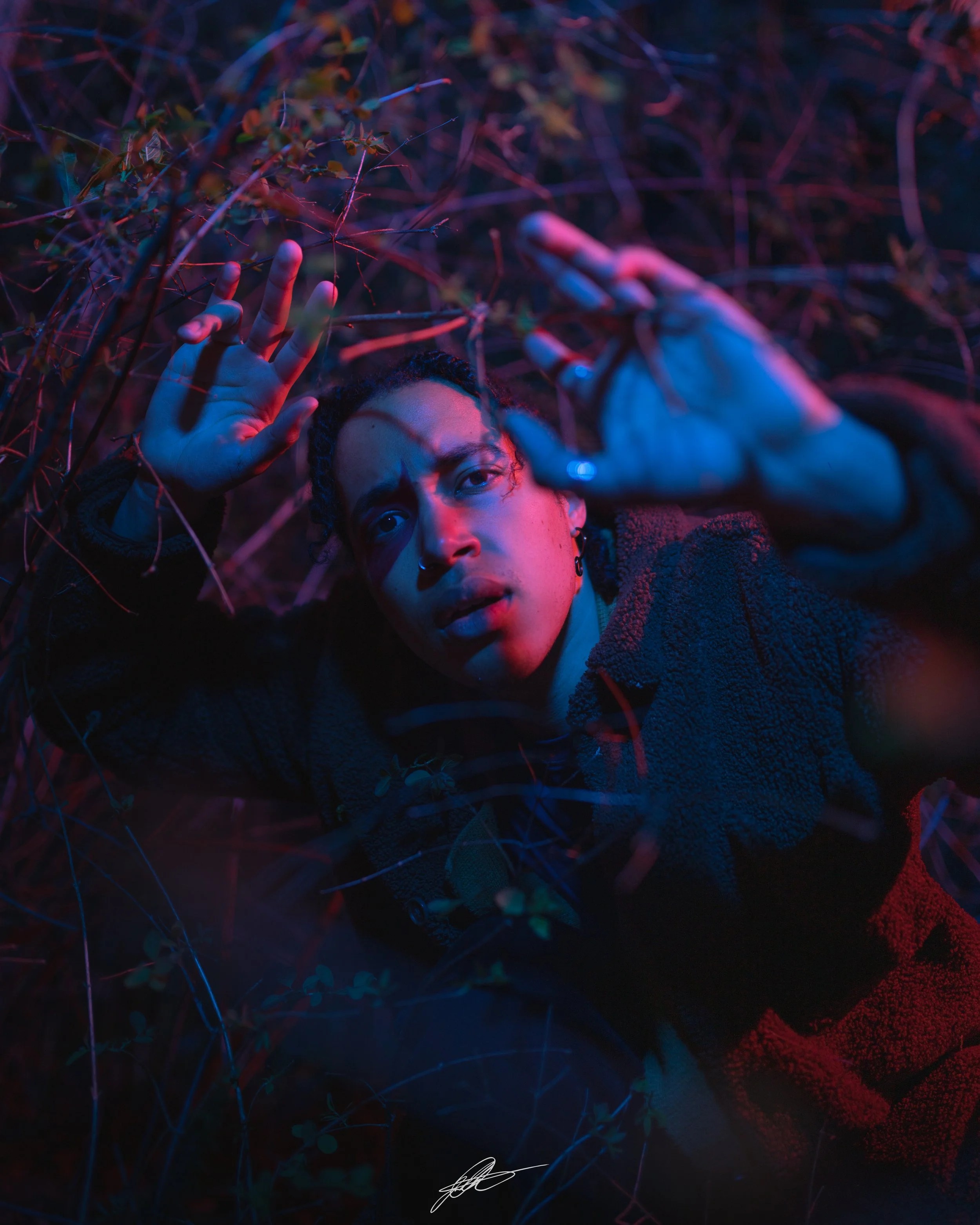 Zeboria red n blue 1 w s.jpg