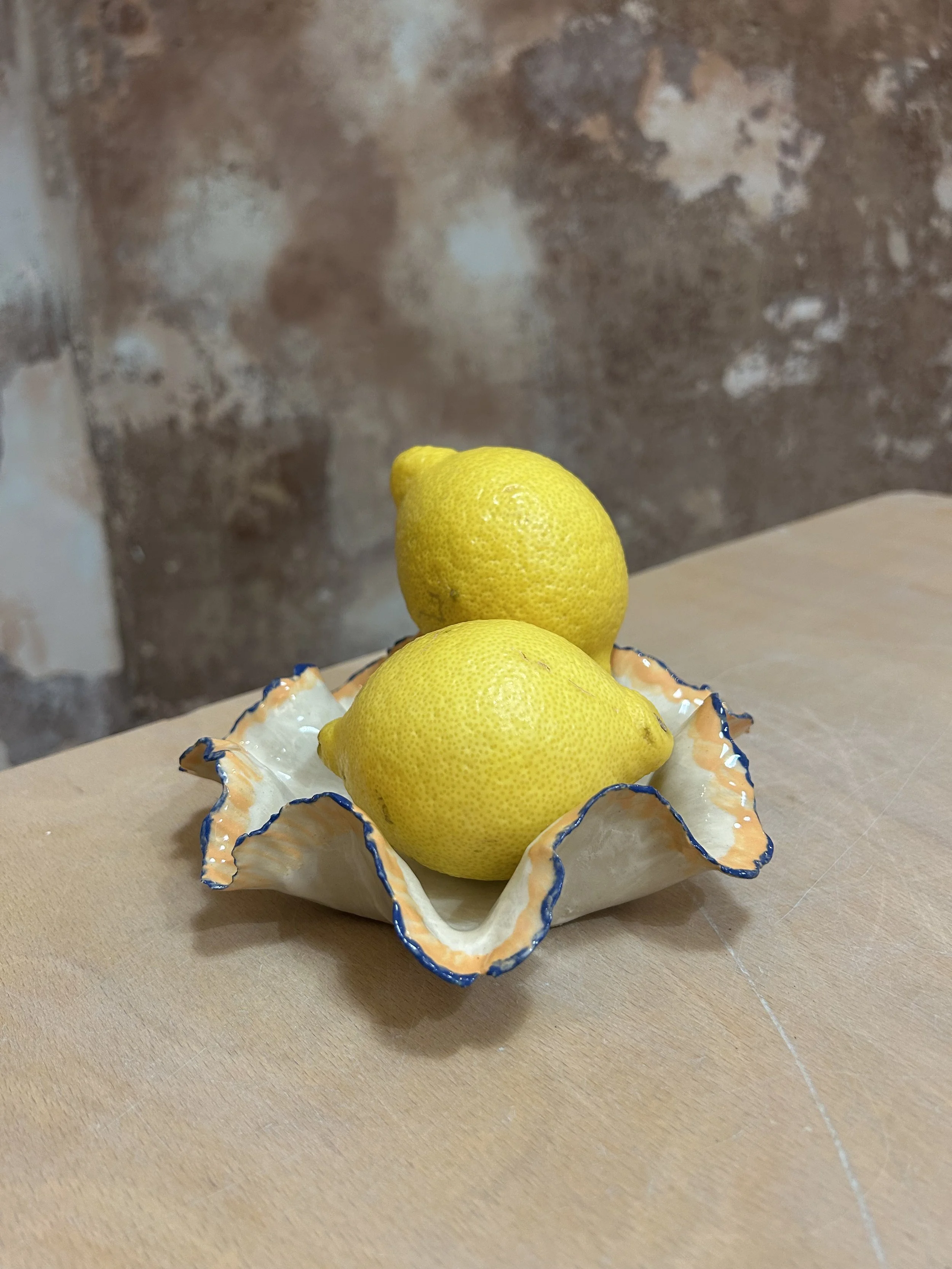 Ceramic Plates, Trays & Bowls Workshop