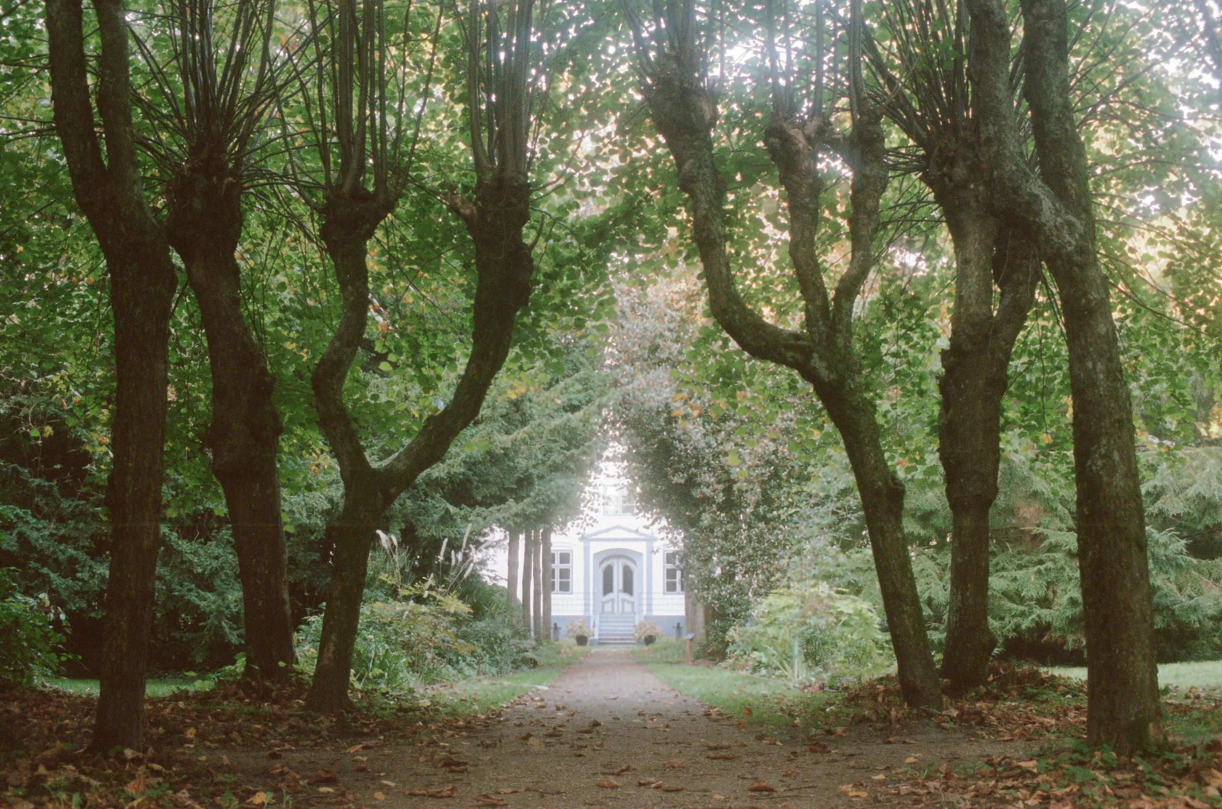 Similarities between my work  and my photographic practice