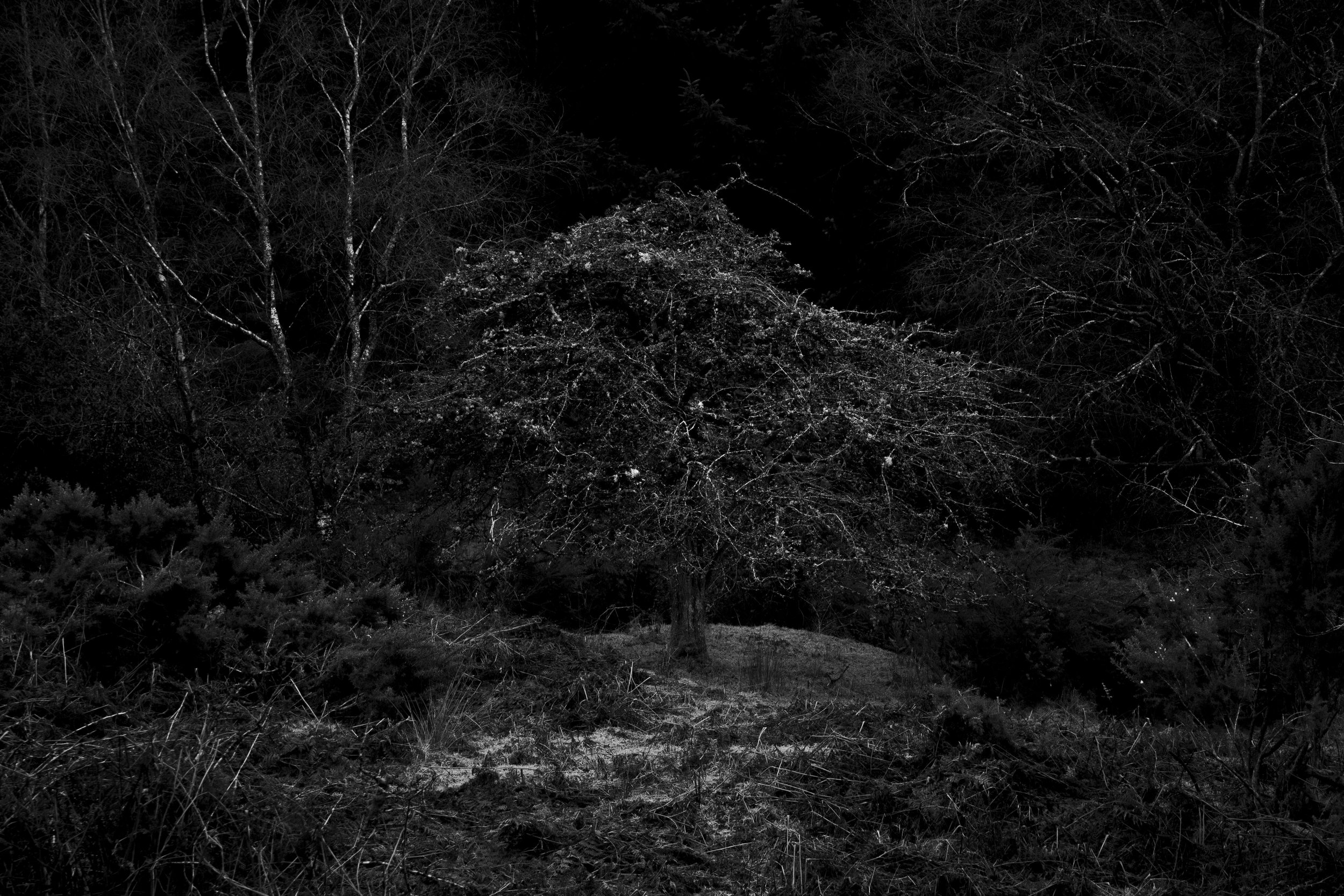 Photography Roisin Lambert Irish Mythology Land