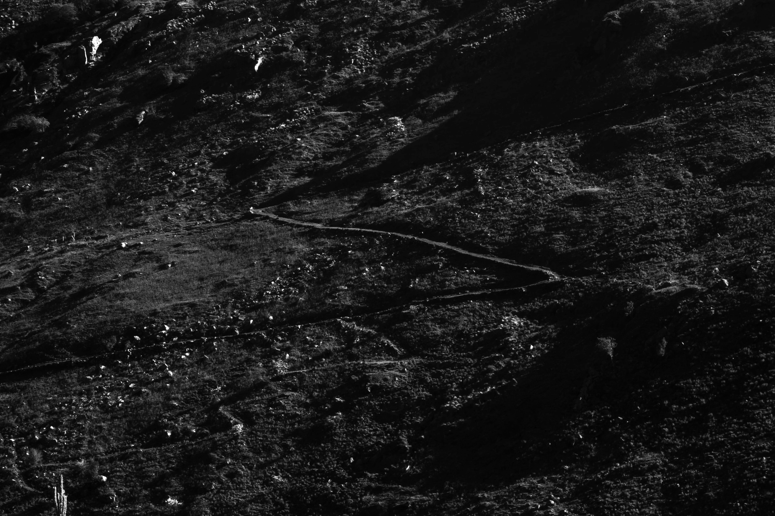 Roisin Lambert. Landscape and Myth. Hold my Bones Together.