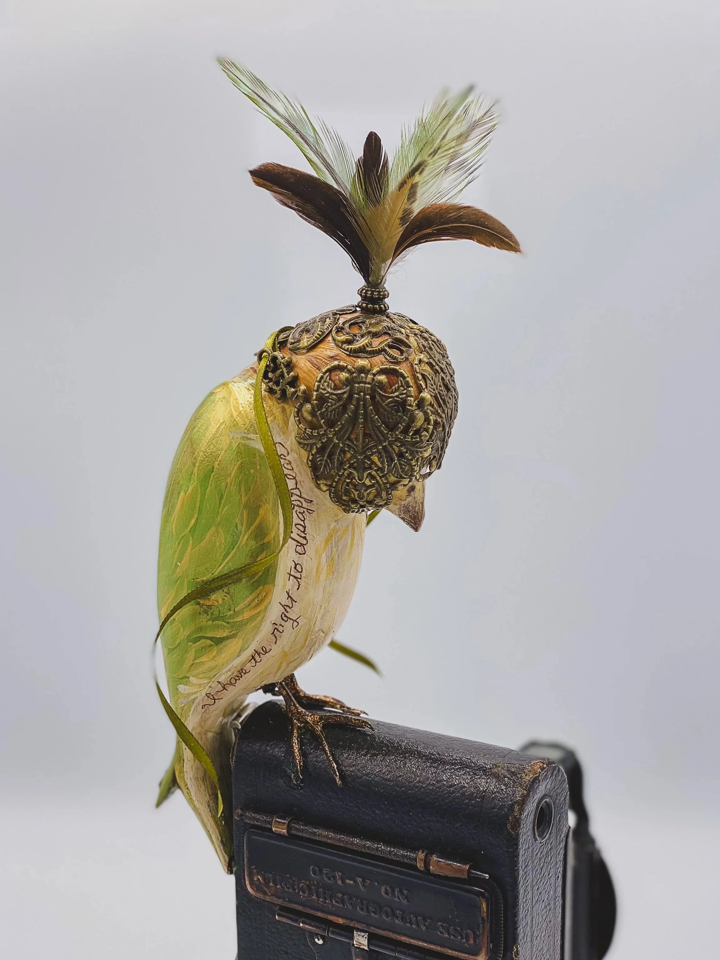 Madeline-Birds-39.jpg