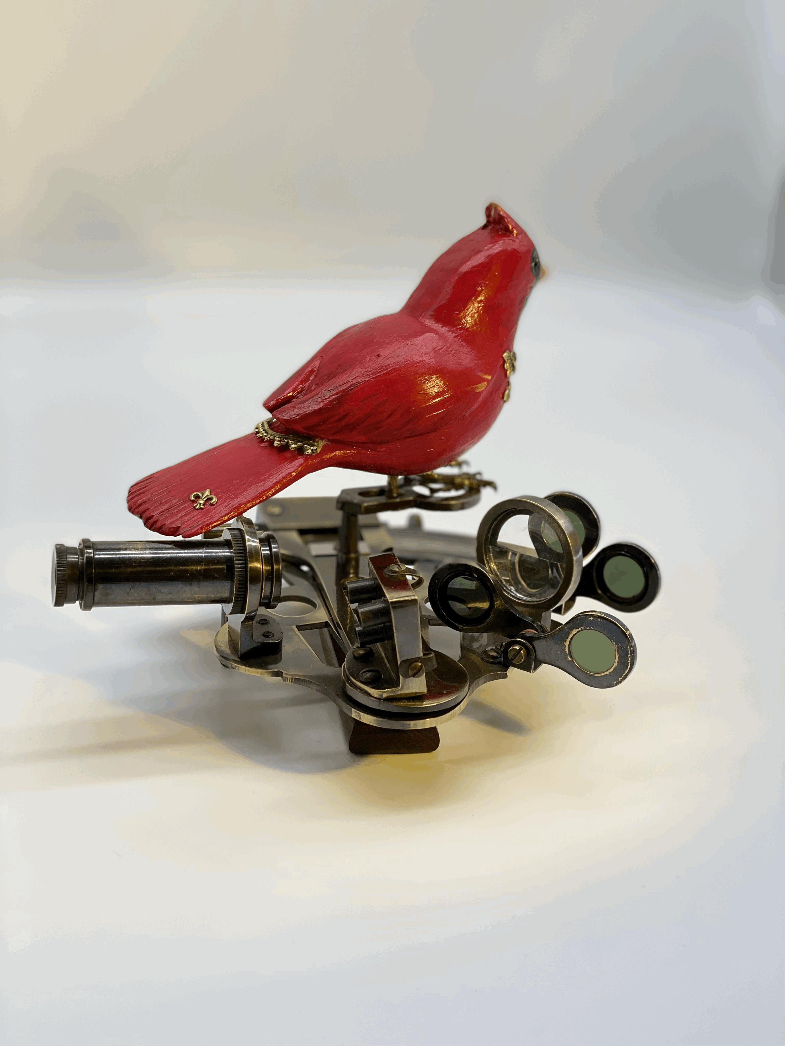 tempImageKNsU1R.gif