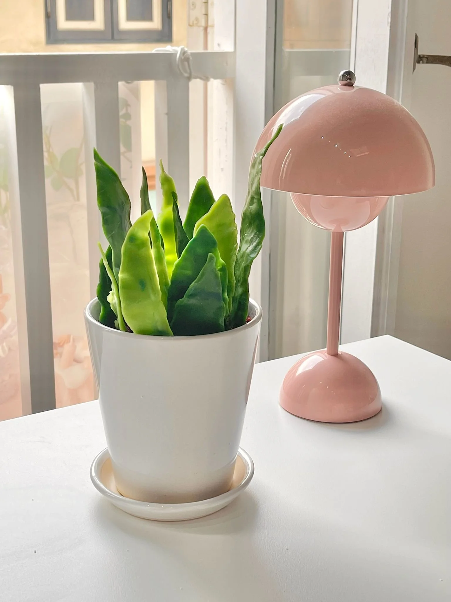 Snake plant candle