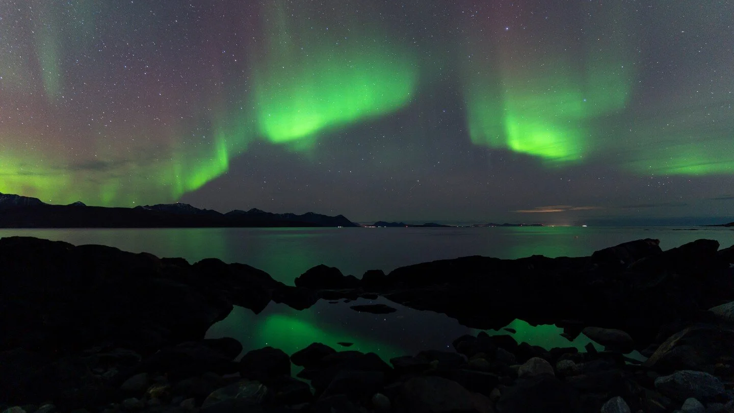 Nordlyset 💯
-
-
-
-
#nordlys #auroraborealis #northernlights #norway #norge #nightsky #northernlights #fyp #visitkv&aelig;fjord #seascape #nordnorge