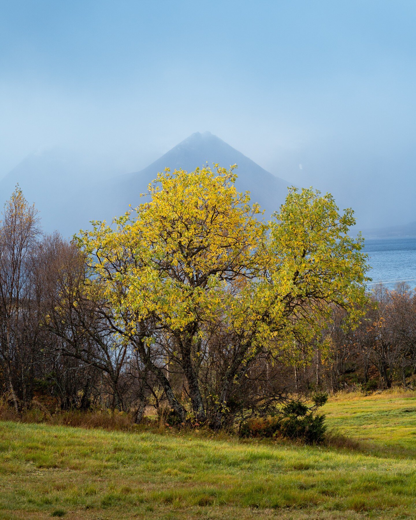 Autumn is over and it's heading towards winter.
9. October 2022.
100mm, F5.6, 1/500 sek, Iso500
#auntum #norway #norsknatur #h&oslash;st #h&oslash;stfarger #gult #nordnorge #northernnorway #norgeibilder #norgeimitthjerte #utno #naturbilder #landscape