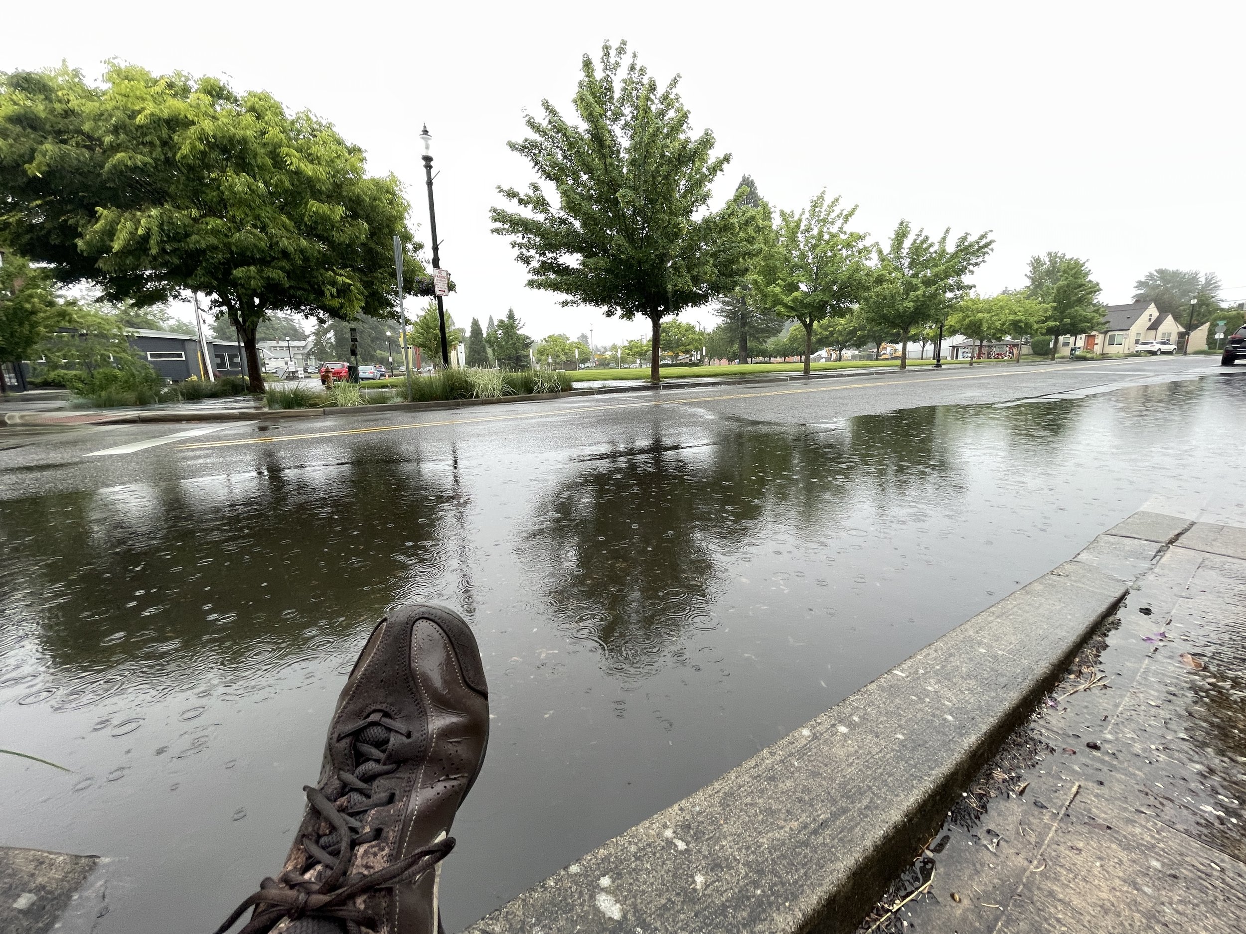 Puddle Hopping and Other Thrilling Prospects