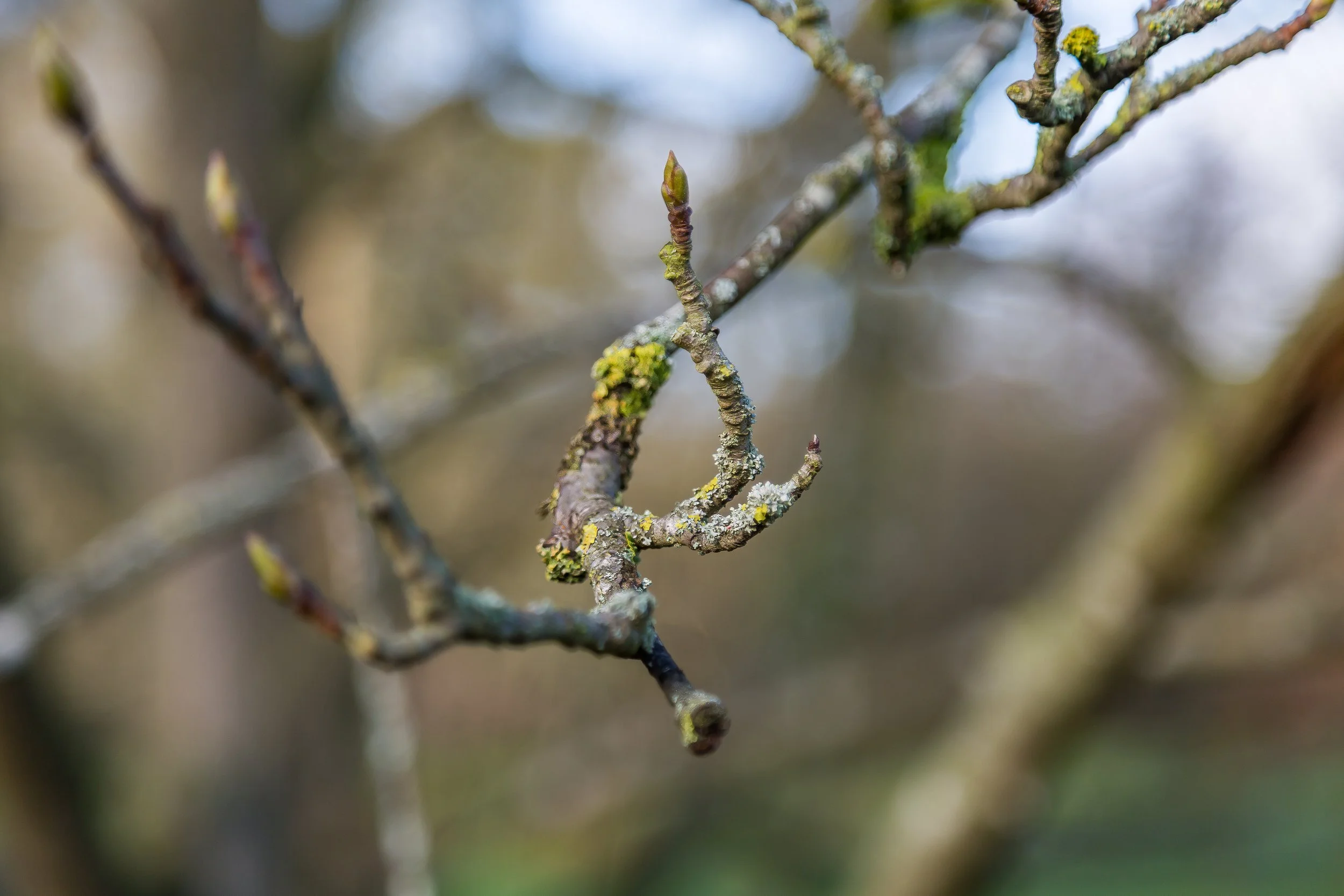 KewGdns_004-top.jpg