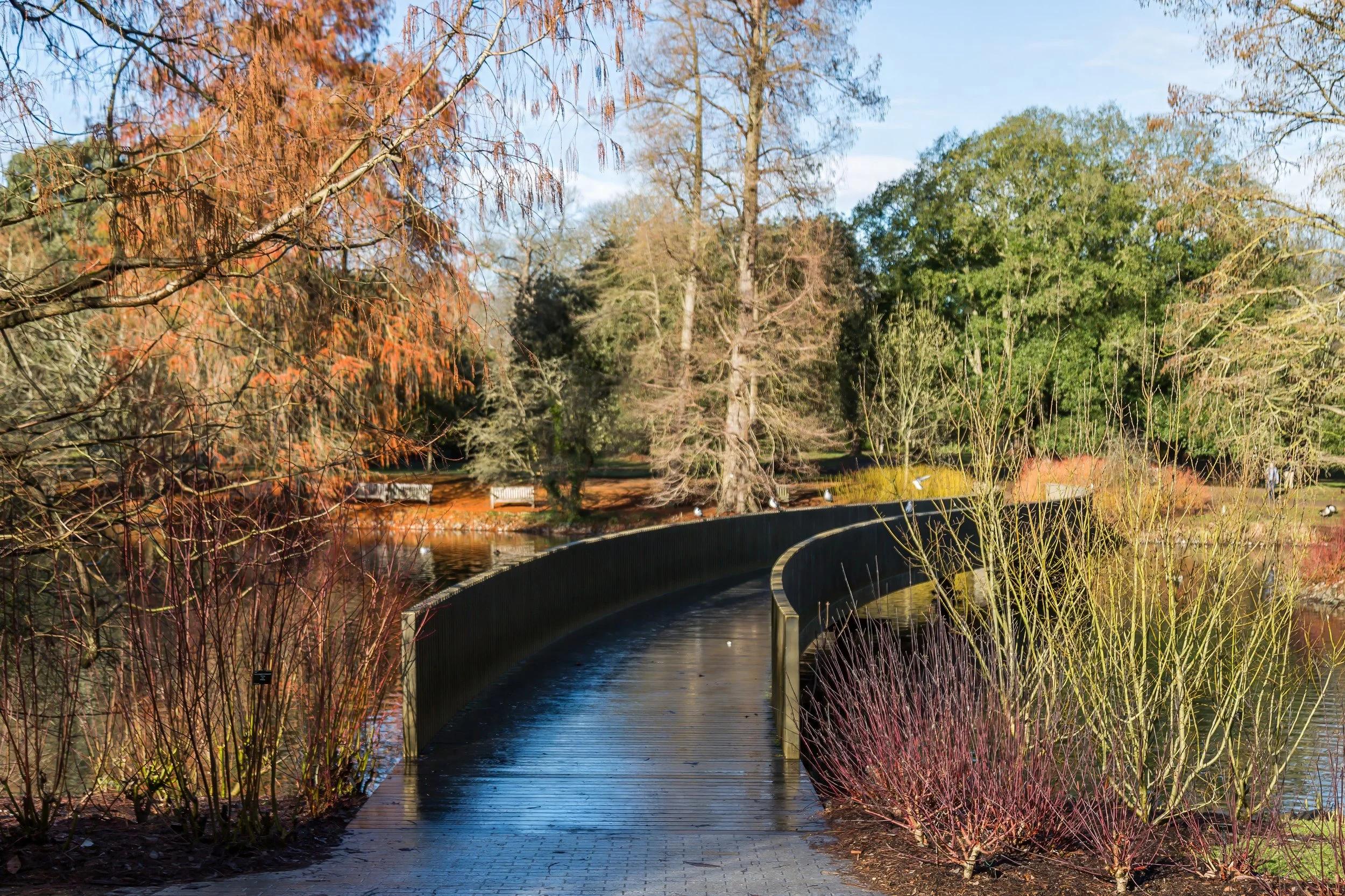 KewGdns_011-top.jpg