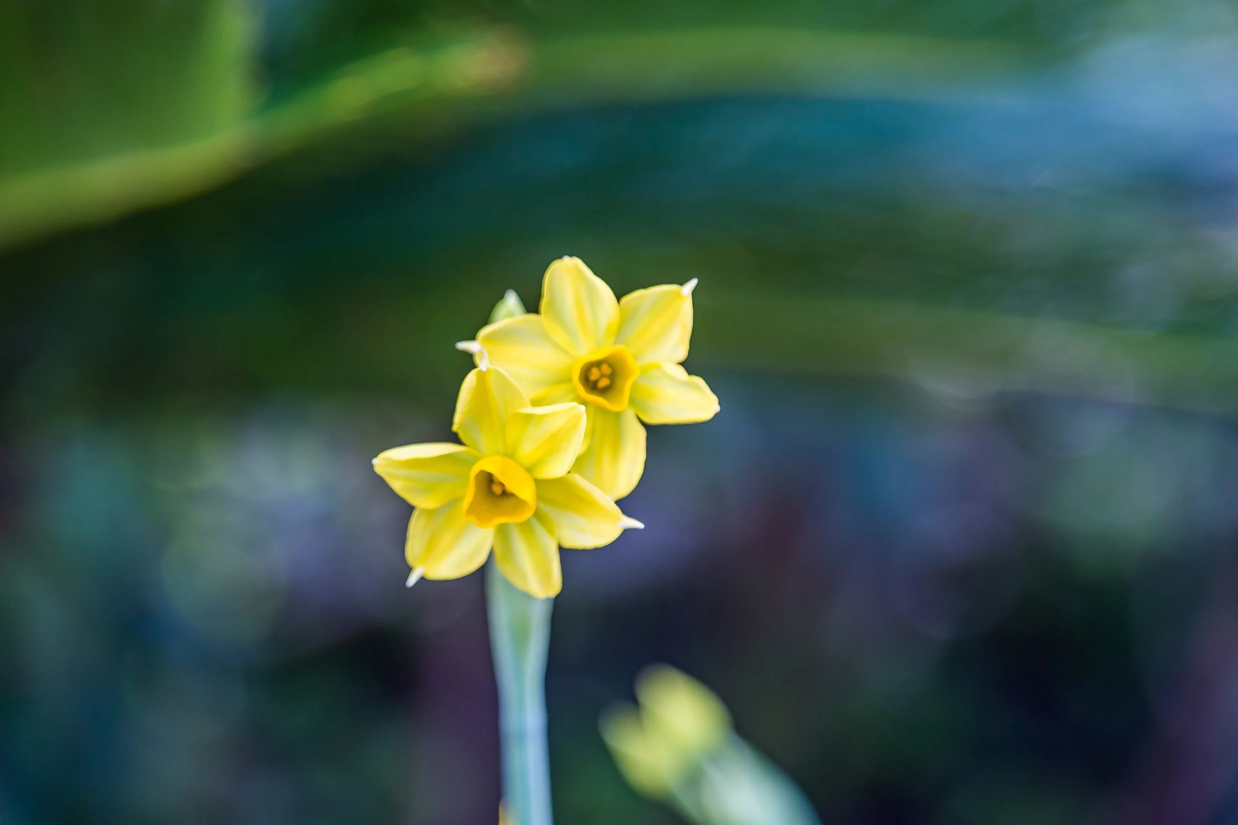 KewGdns_051-top.jpg